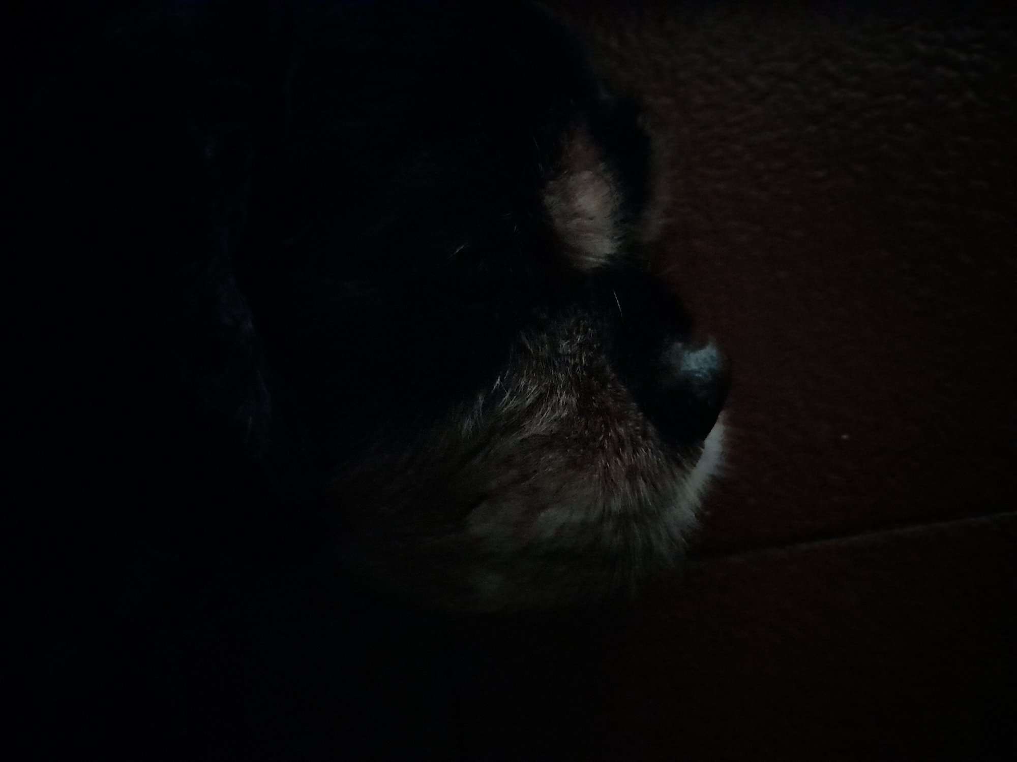 Even in the dark I know there is