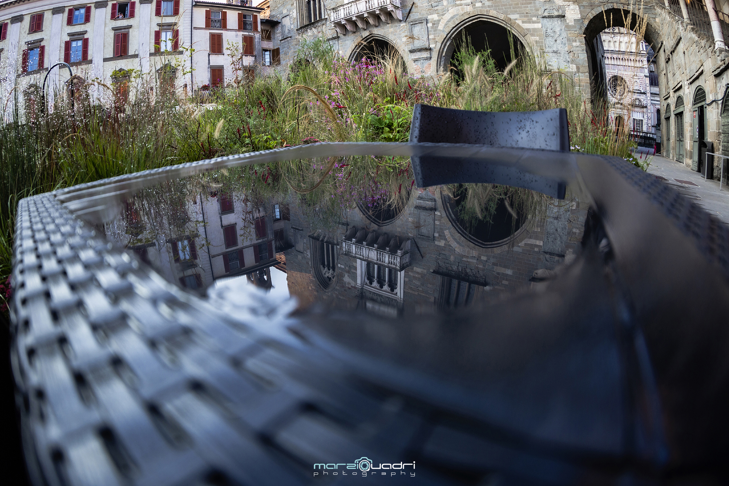 Masters of landscape 2021