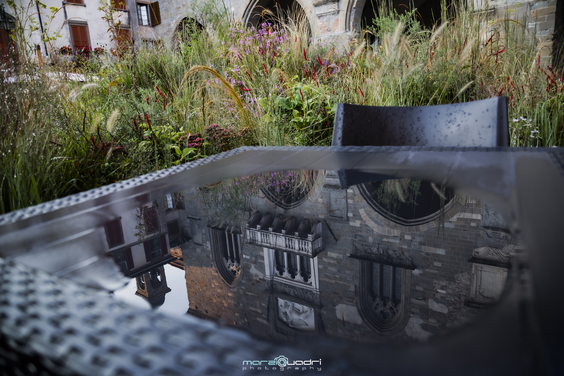 Masters of landscape 2021