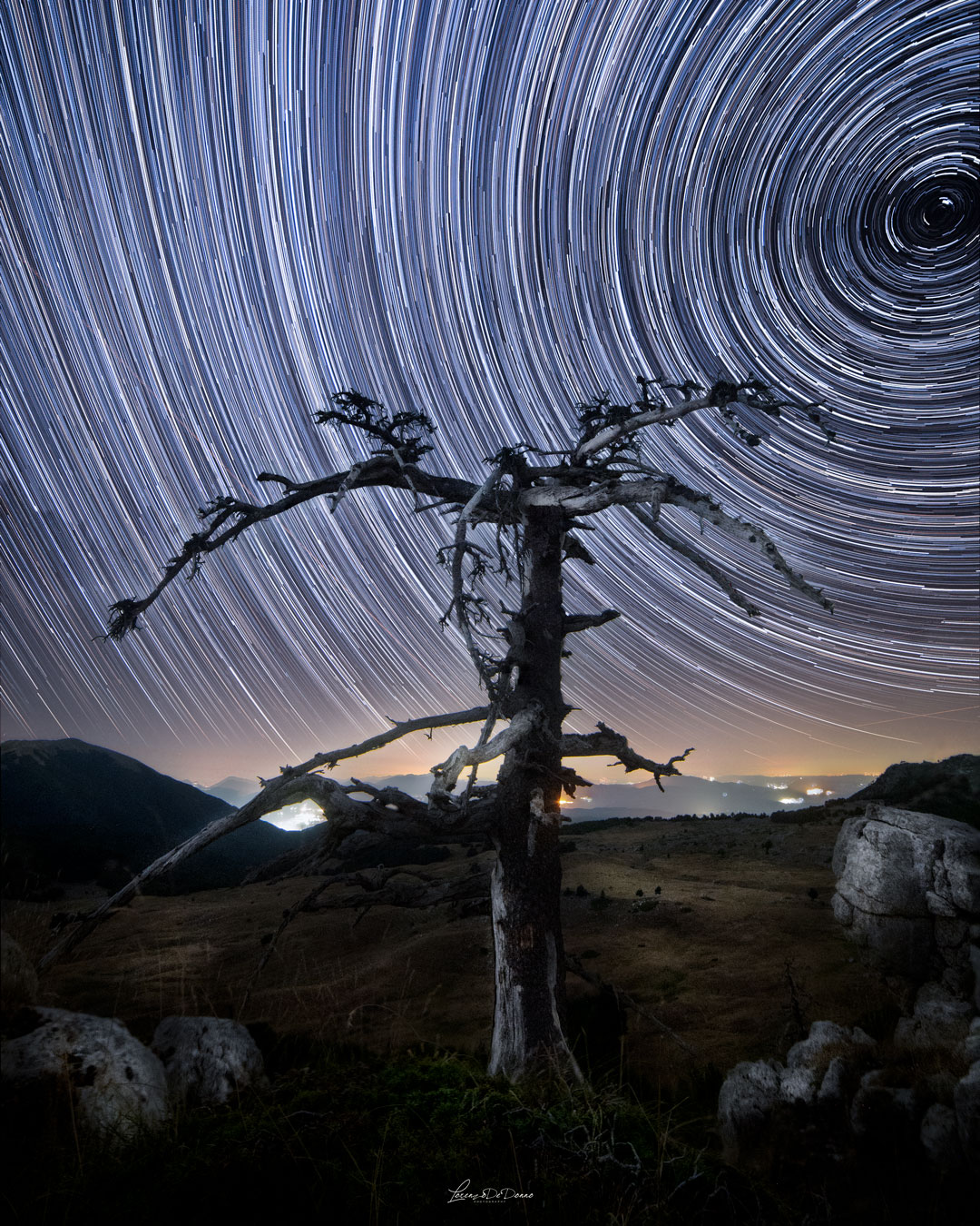 startrail on pollen