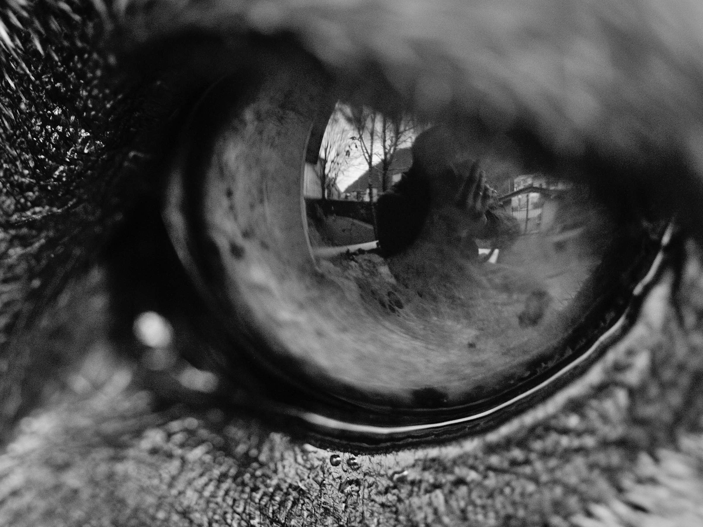 Through the eye of a friend