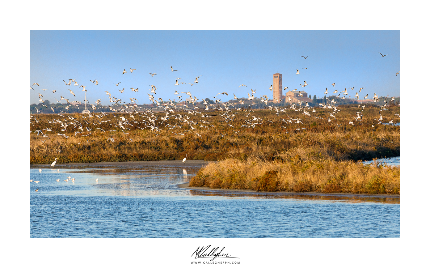 Sullo sfondo Torcello
