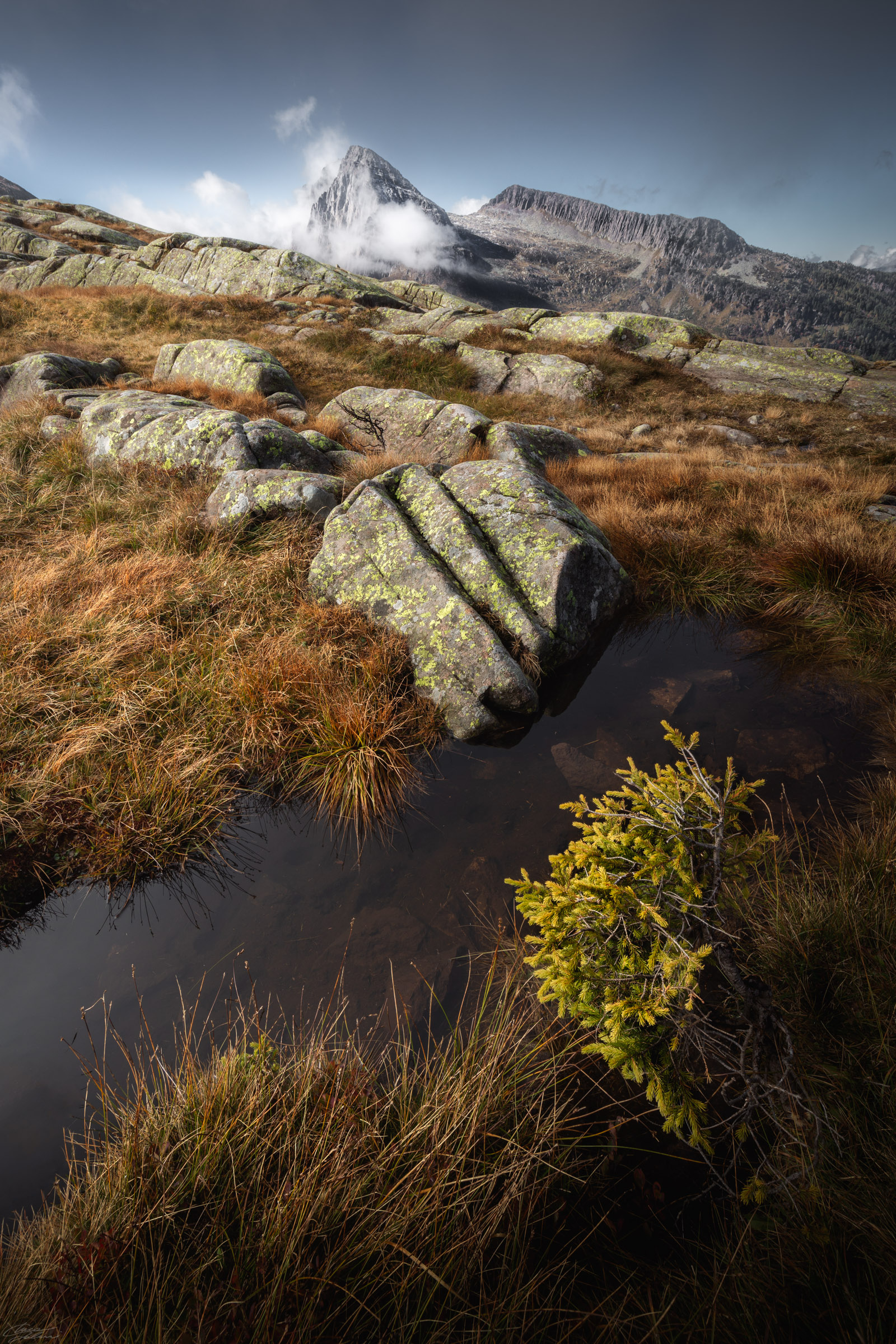 Un pizzico di giallo