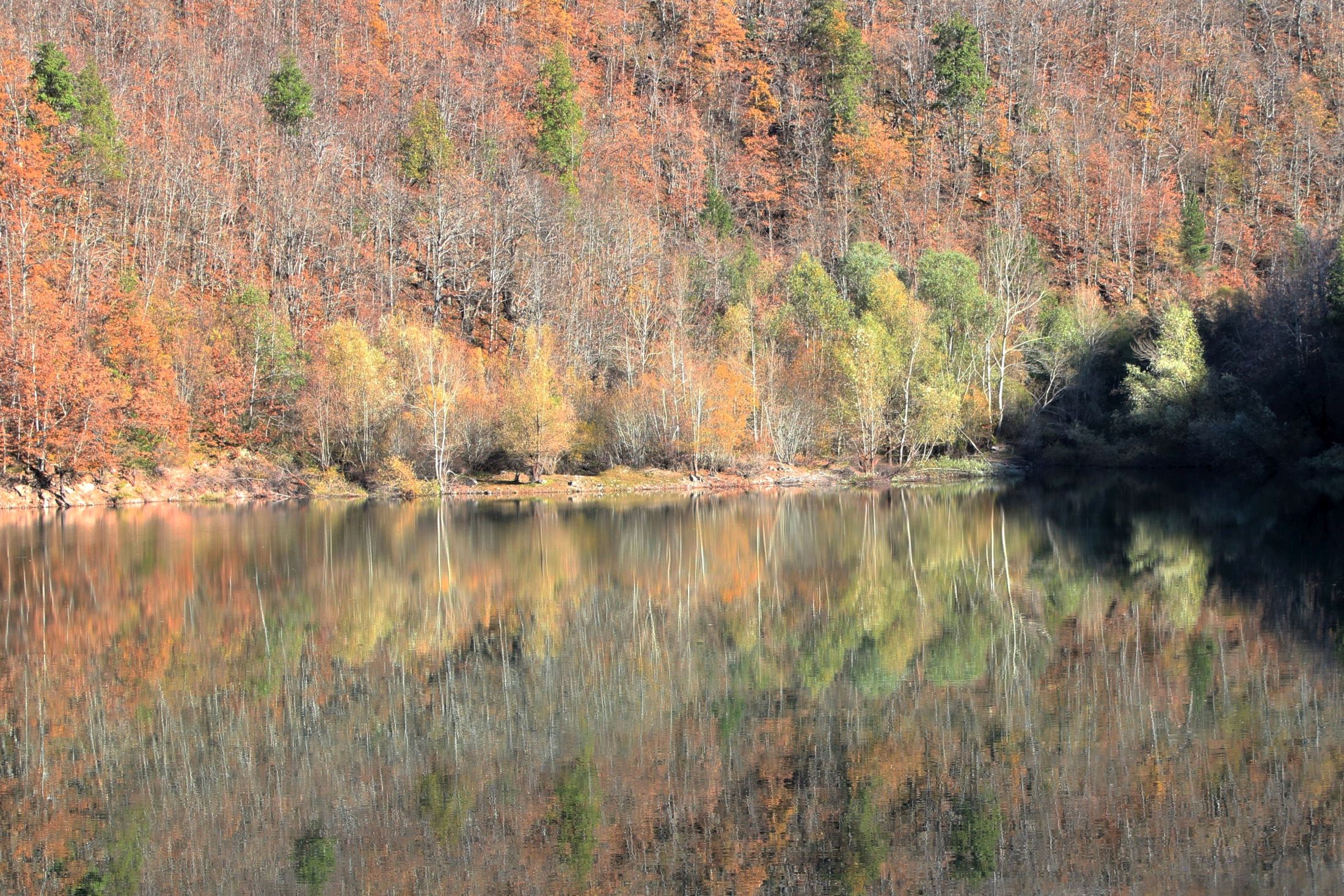 Lago di Vicaglia