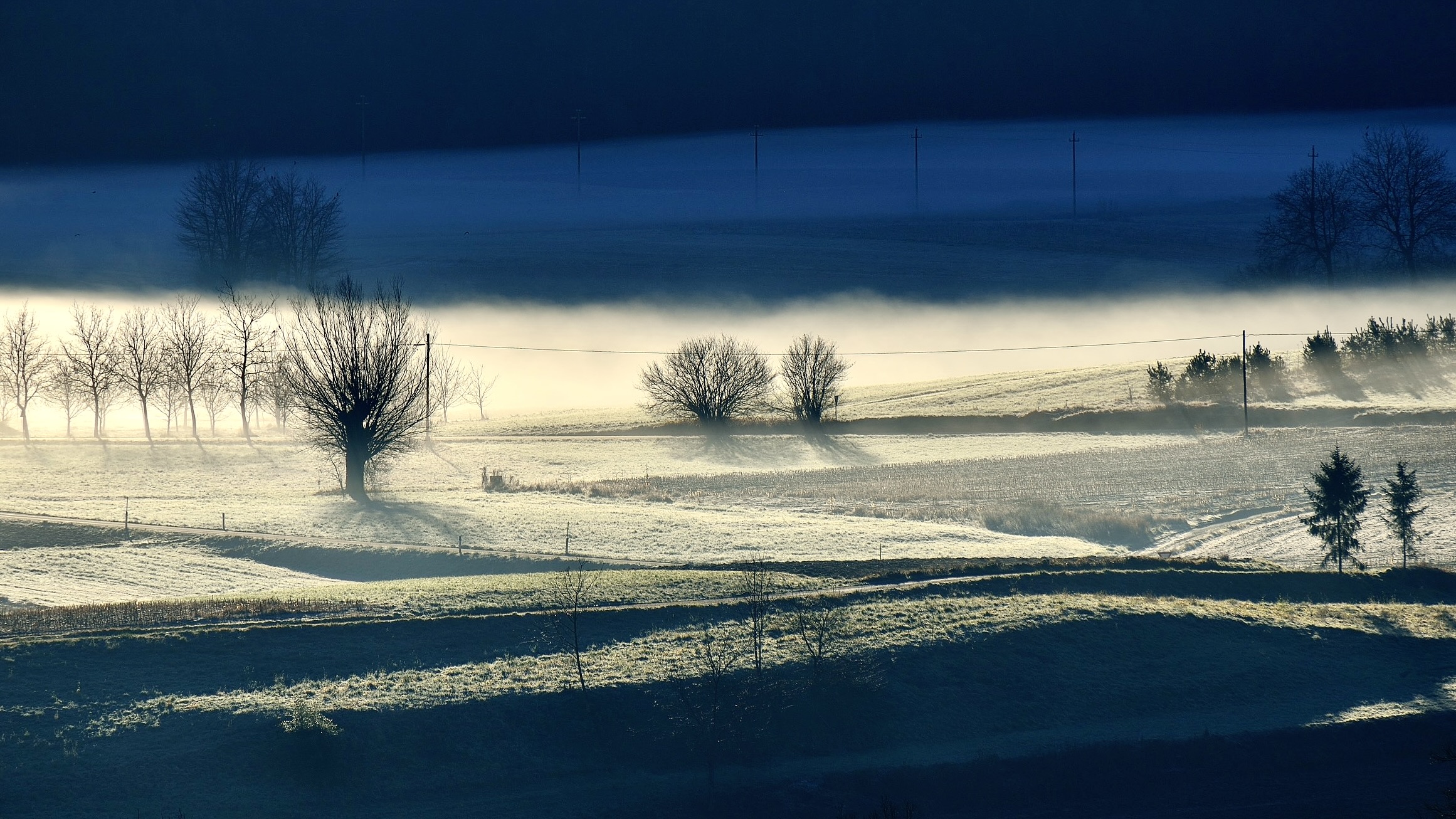 Dawn