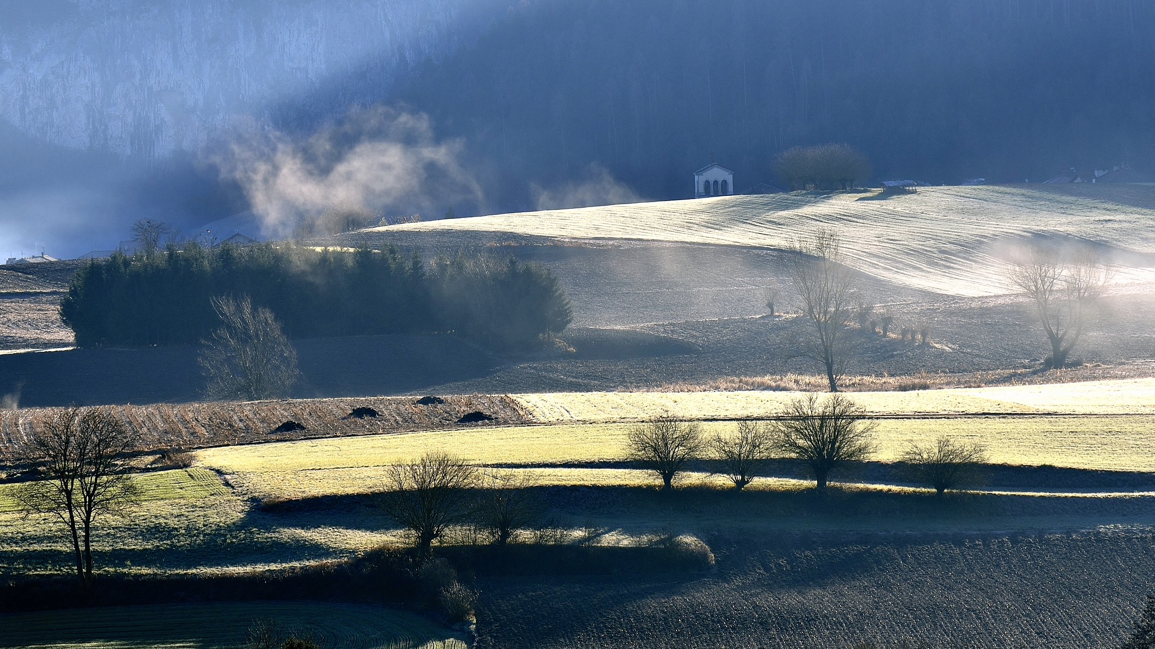 Dawn