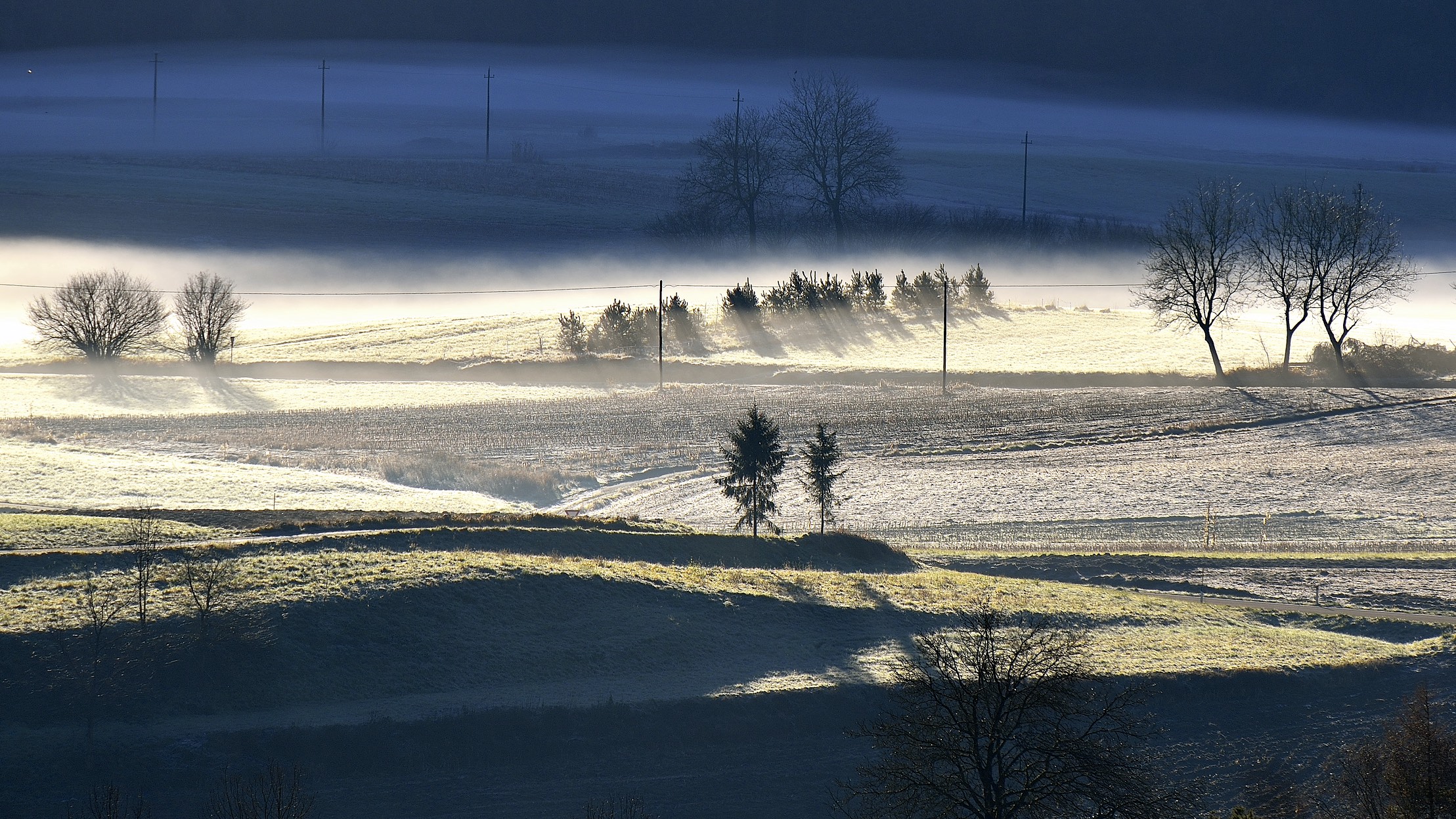 Dawn