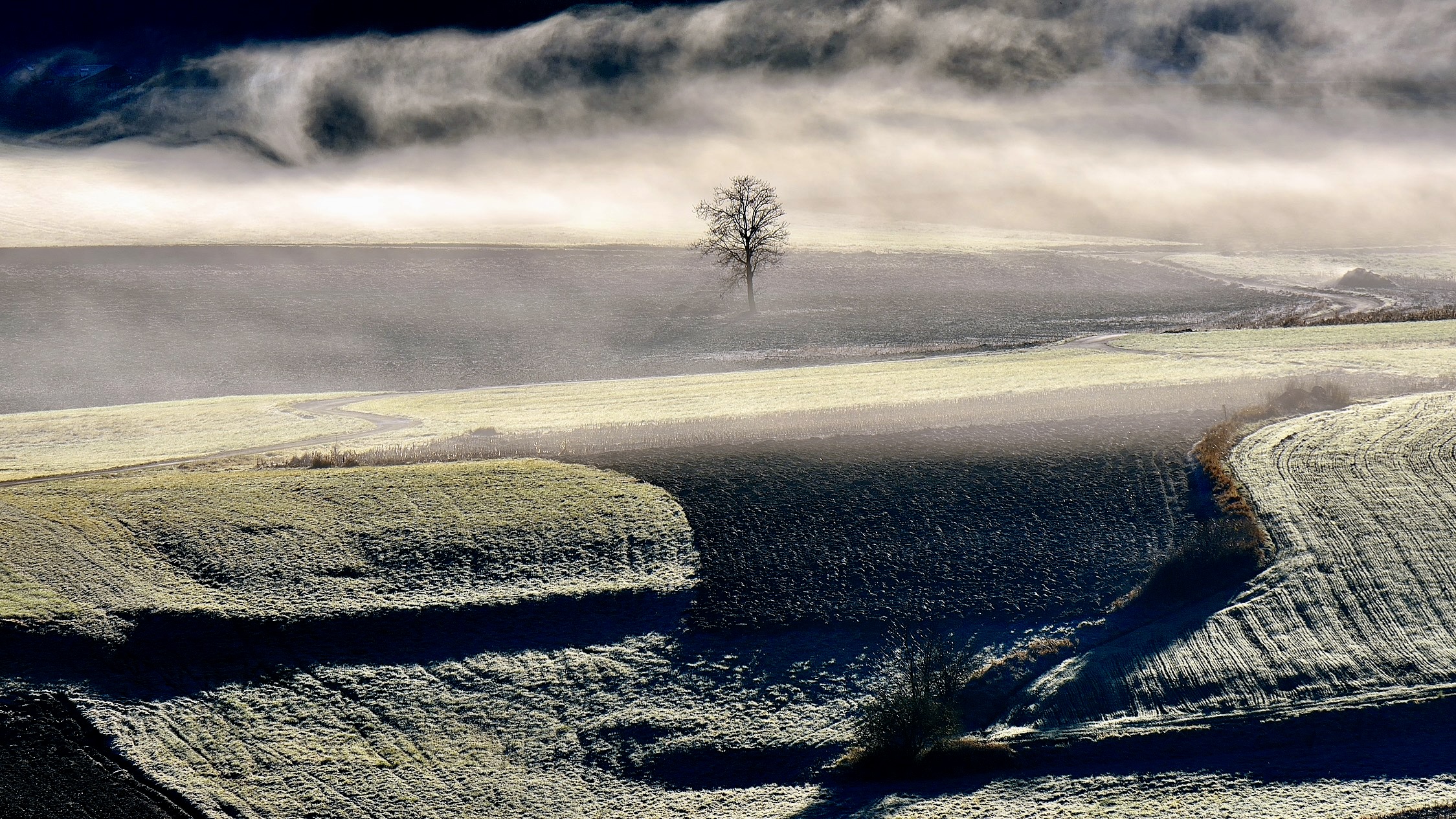 Dawn