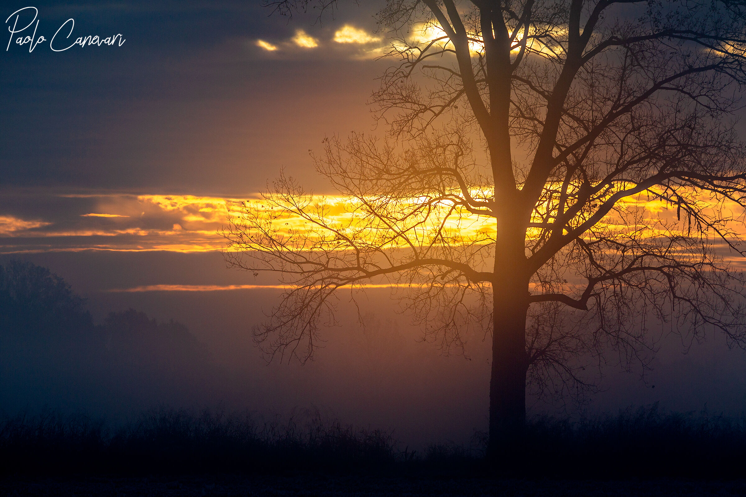 Lomellina (Lomellina)