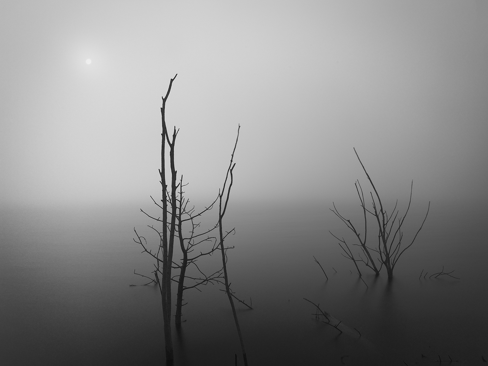 Fog on the lake