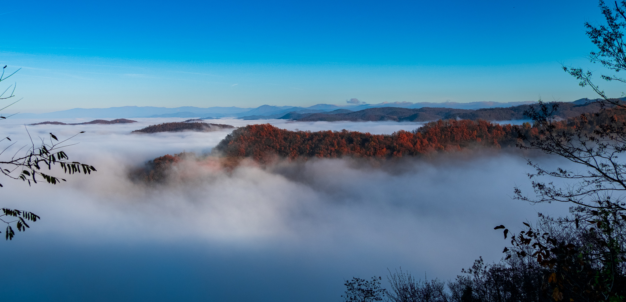 Fog Langhe