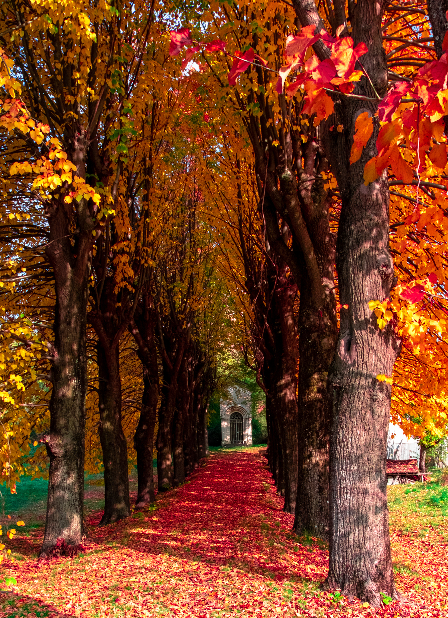 Autumn