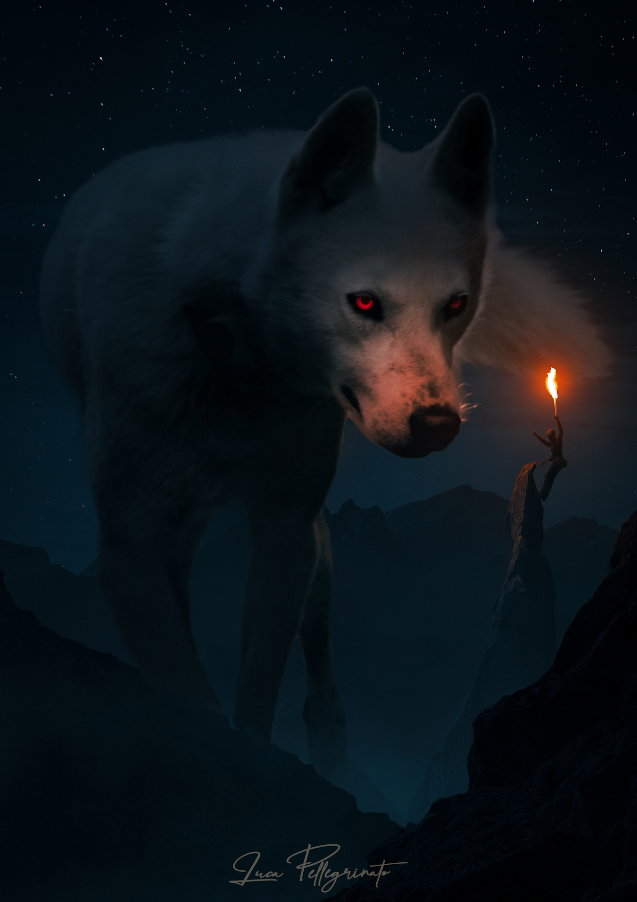 Lupo illuminato