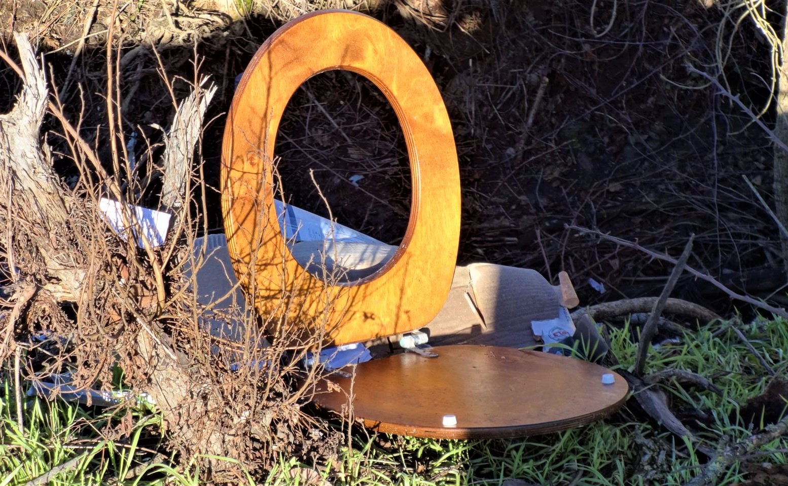 "una finestra sul nostro Mondo!"