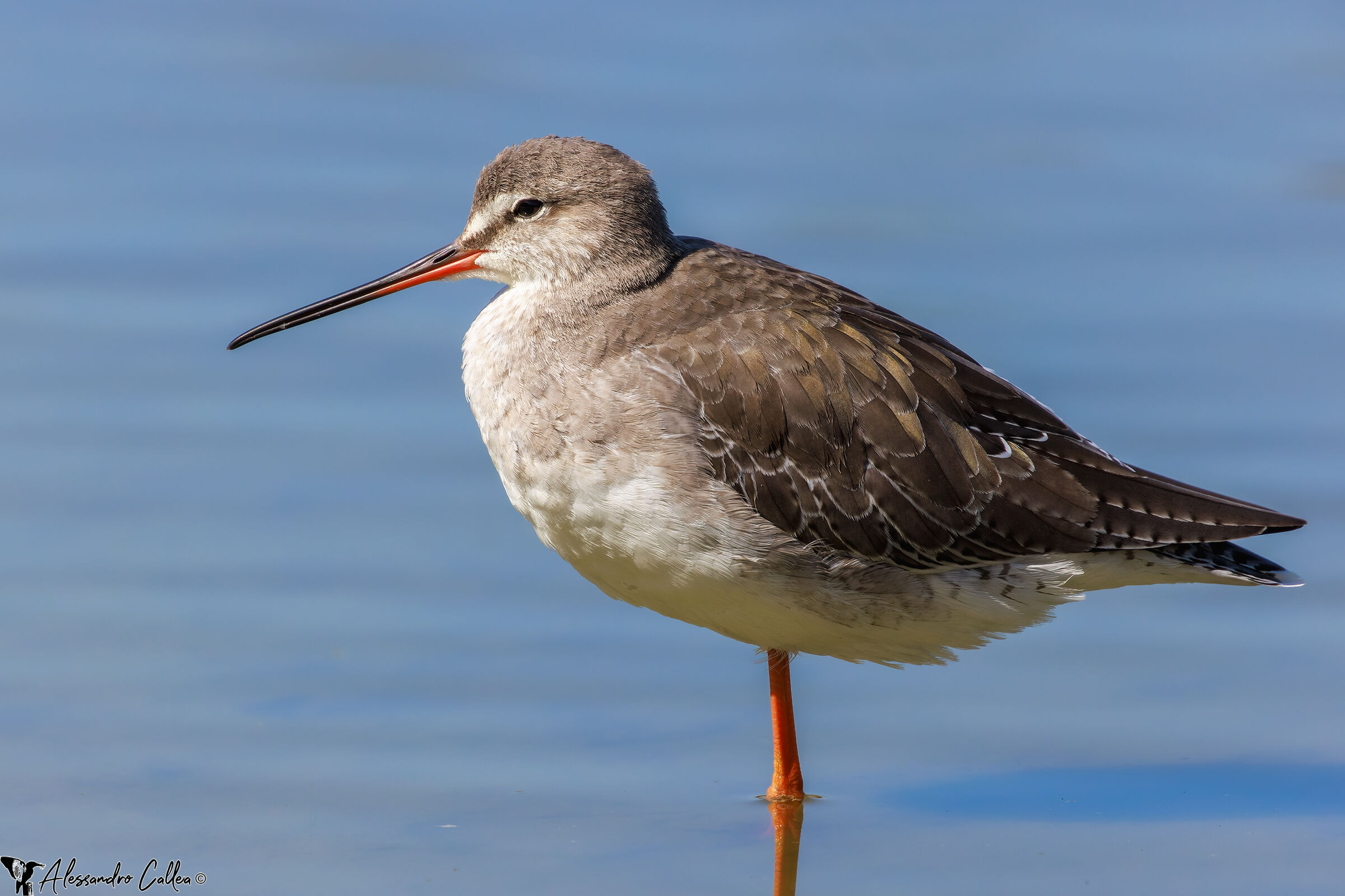 Si gode il sole di mezzogiorno