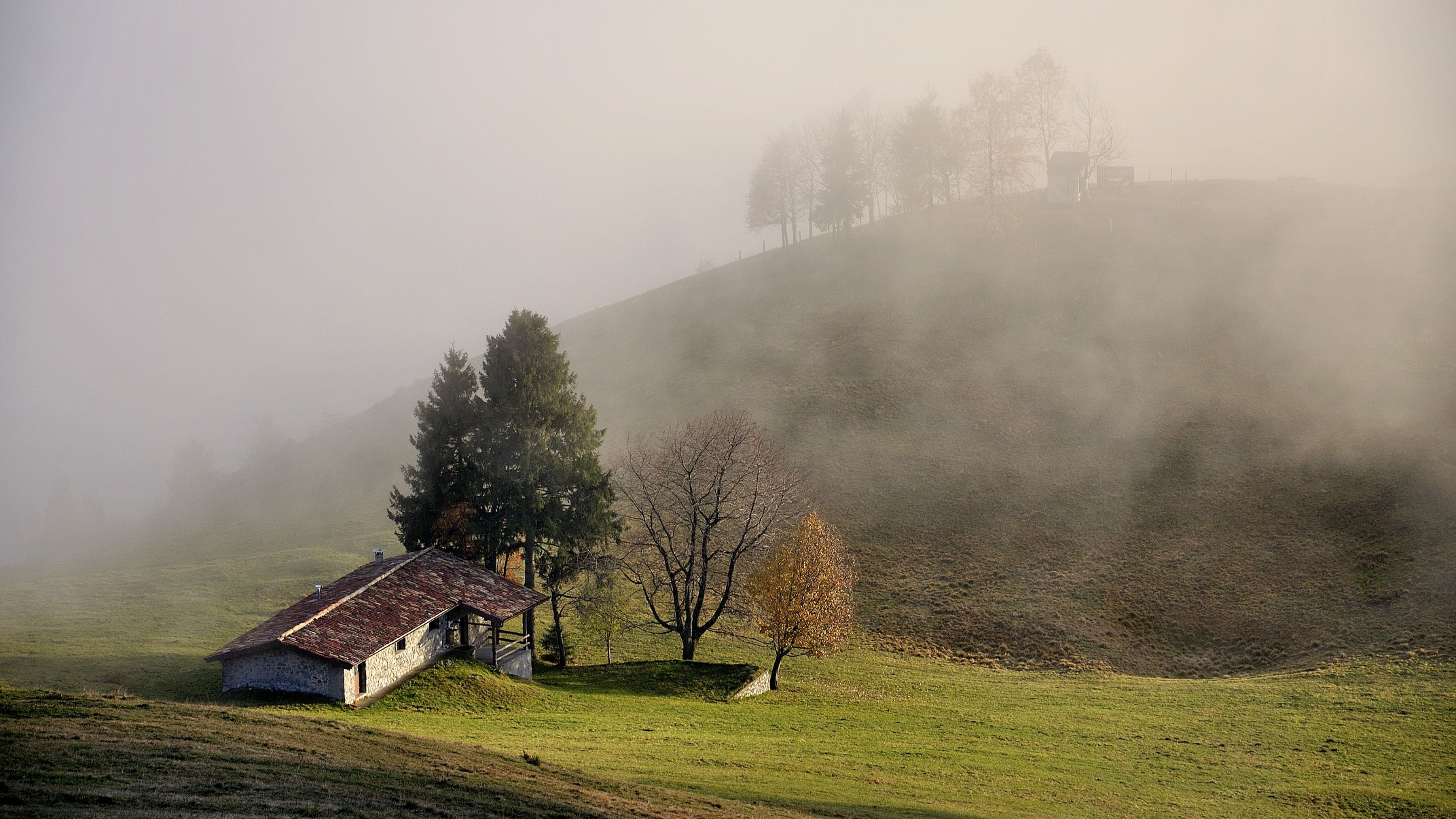 Untitled Photo