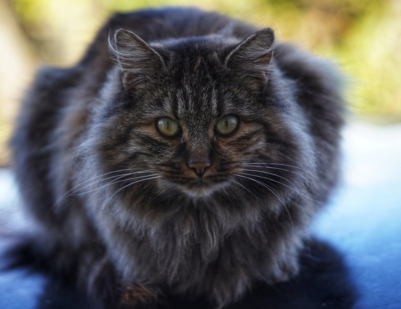 Are you stareing at me?