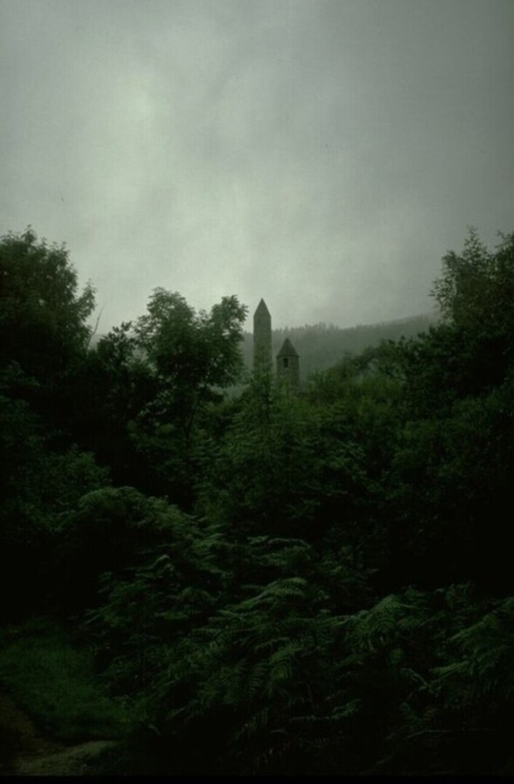 Irlanda - Torri nel bosco