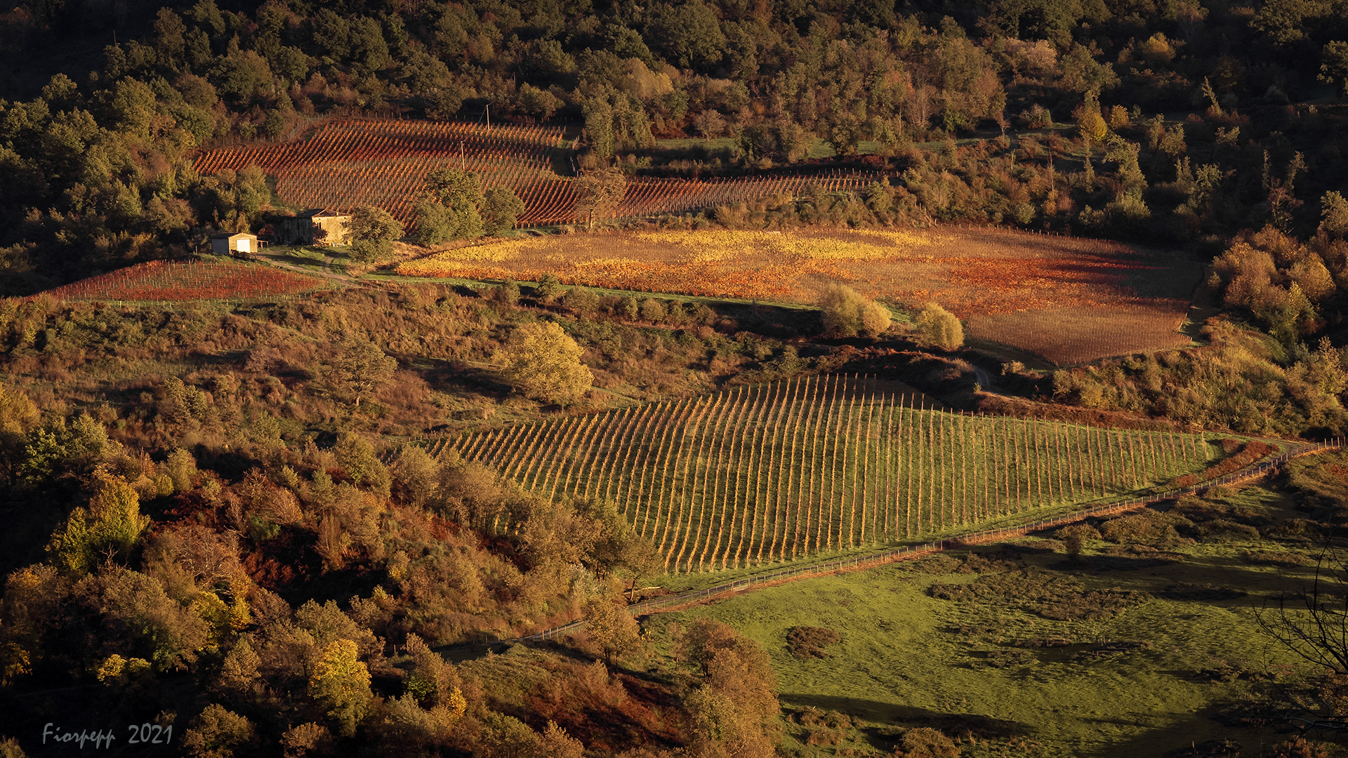 I colori dell'autunno