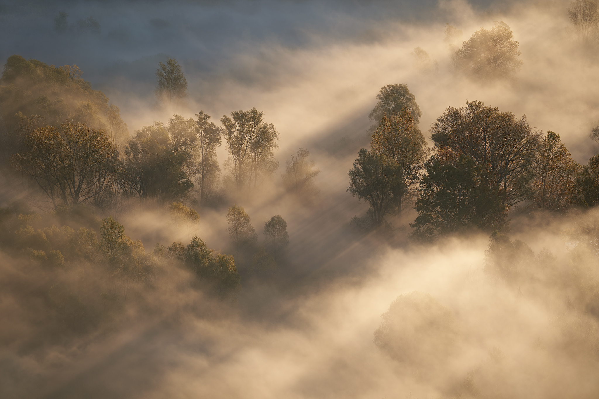 Brivio, dawn, 2 November 2021