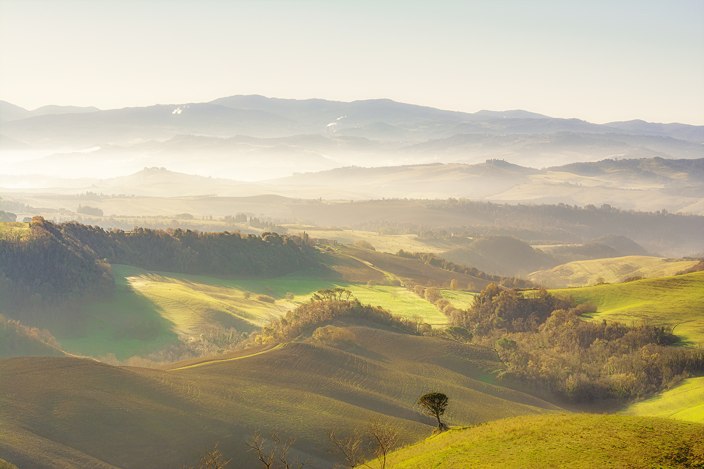 Fog, mist and lights