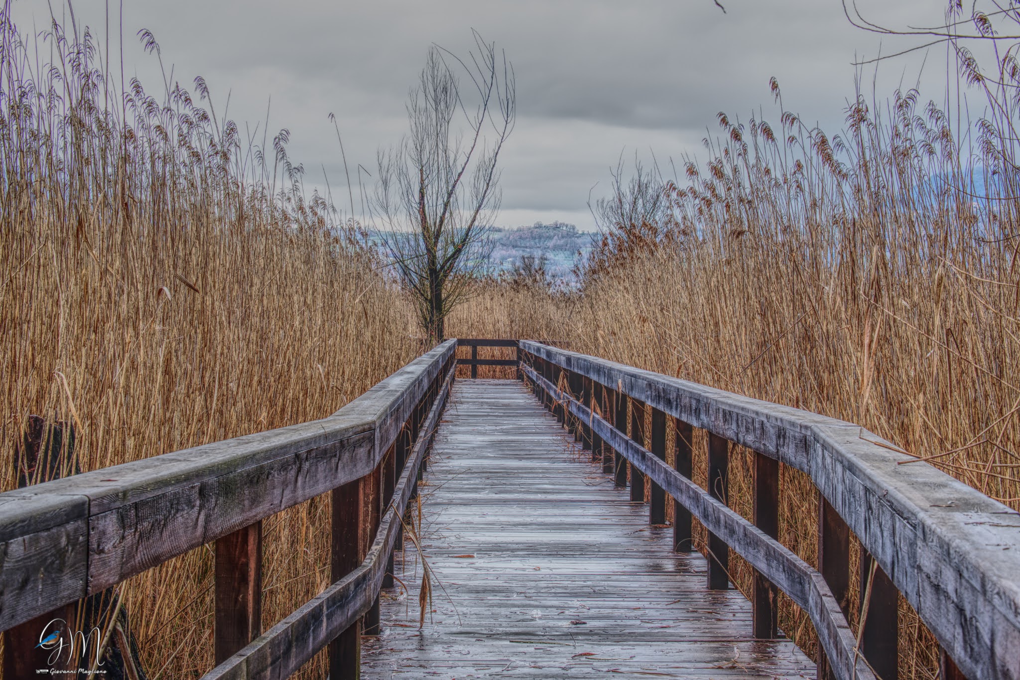 Passerella Bird Watching Posta Fibreno