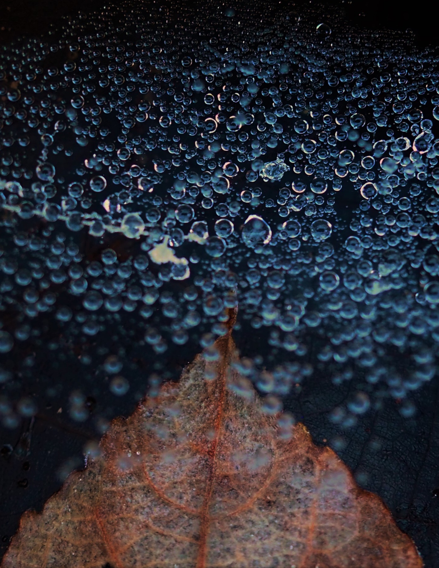 A thousand blue bubbles