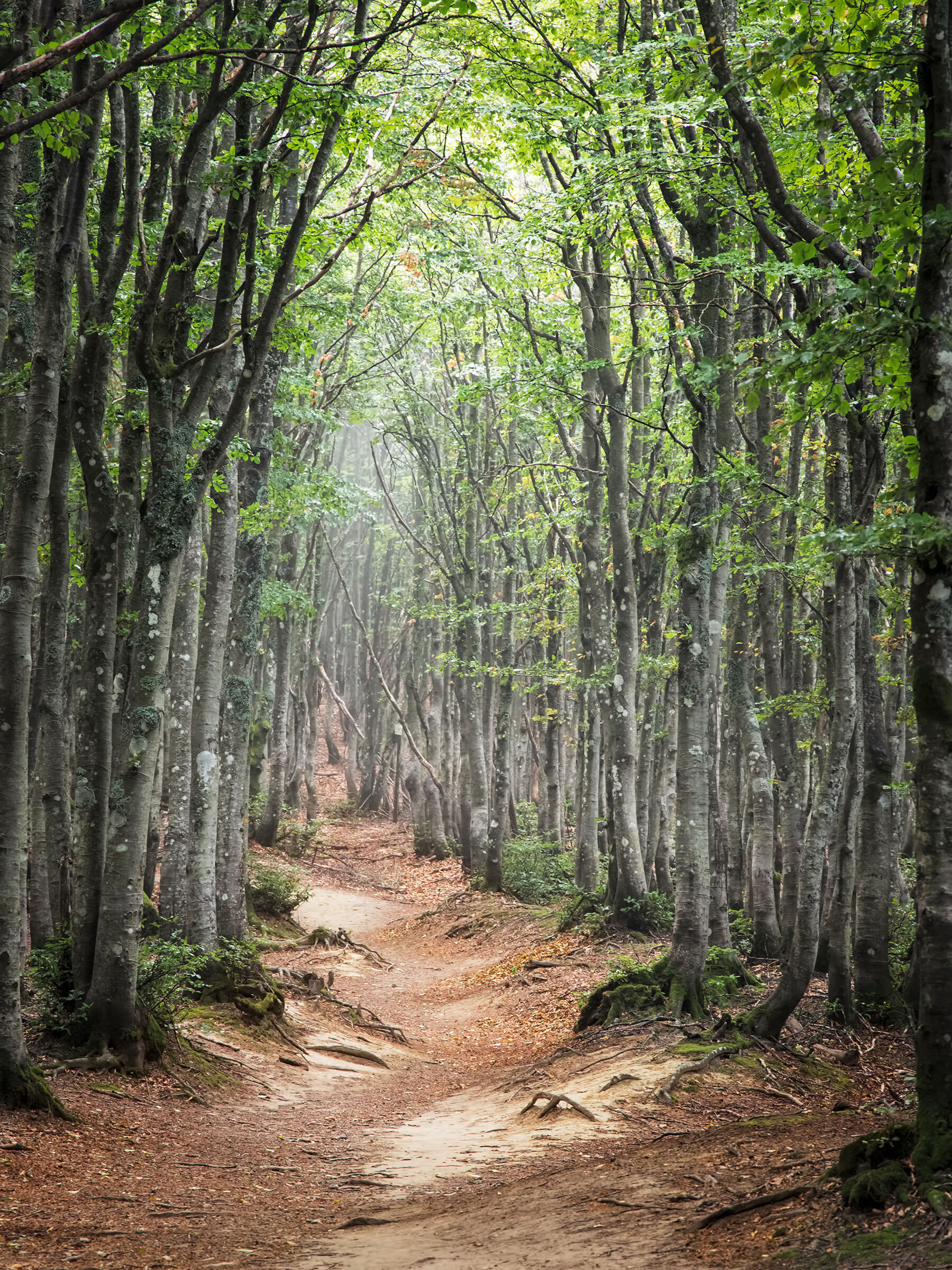 Verso il Monte Falco