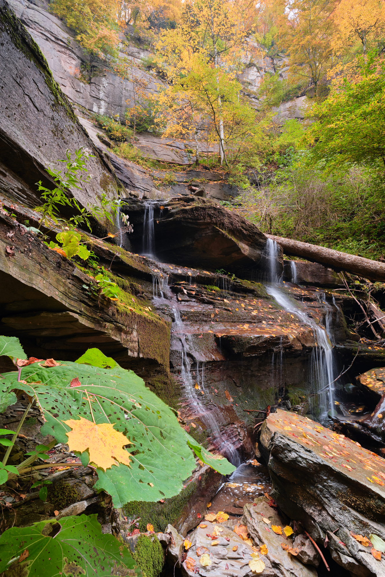 cascata scalandrini