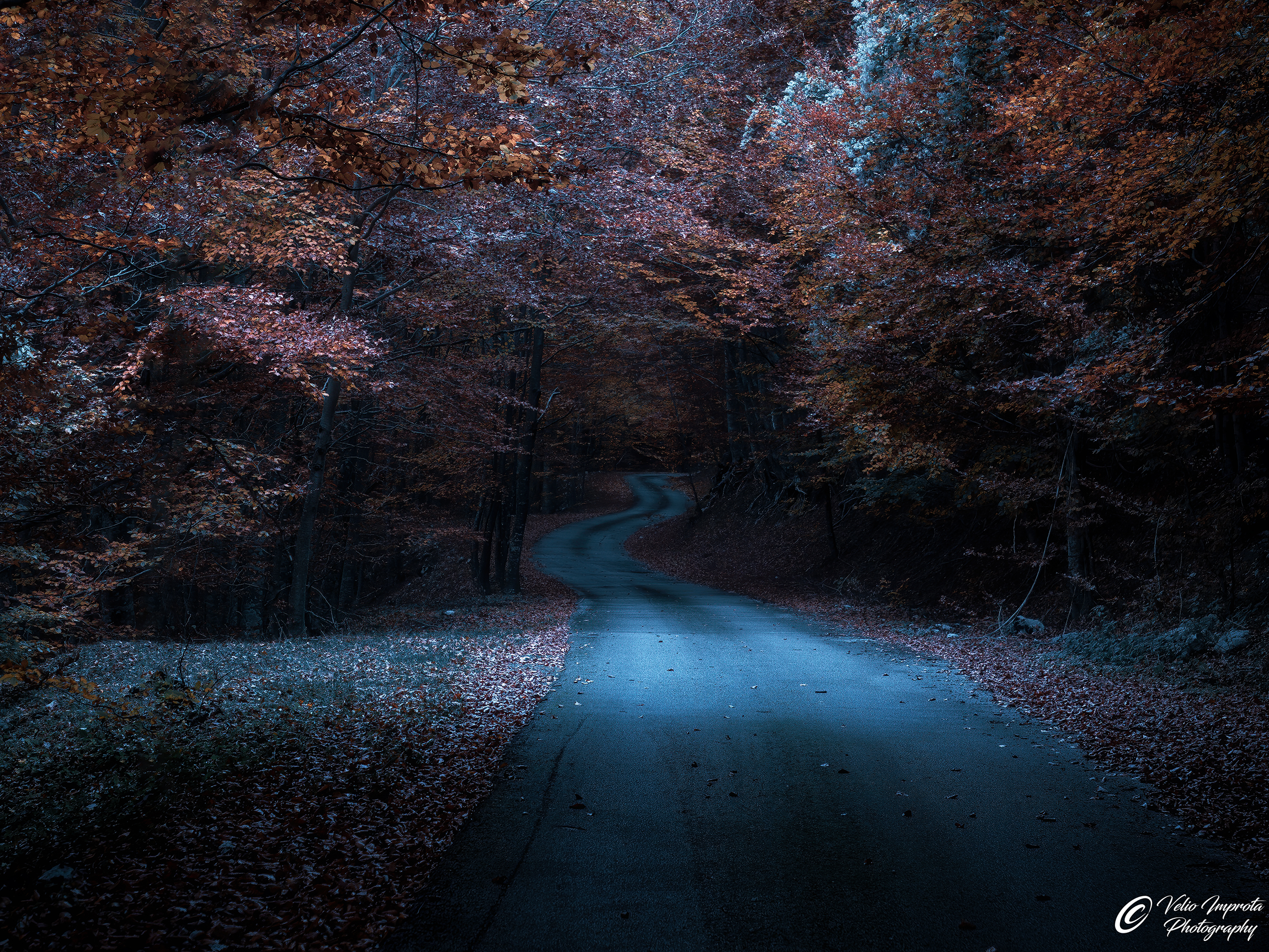 L'ultimo sguardo sull'autunno