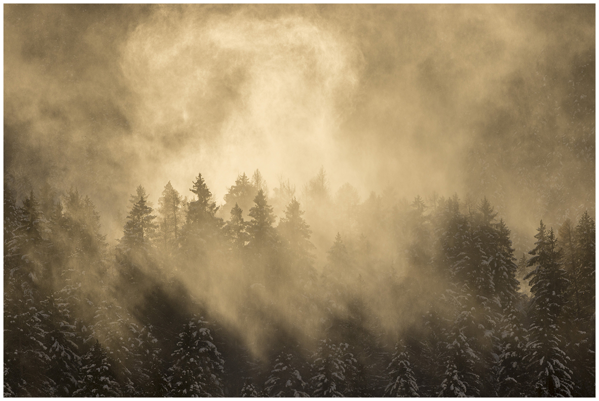 gusts of wind raise the snow.