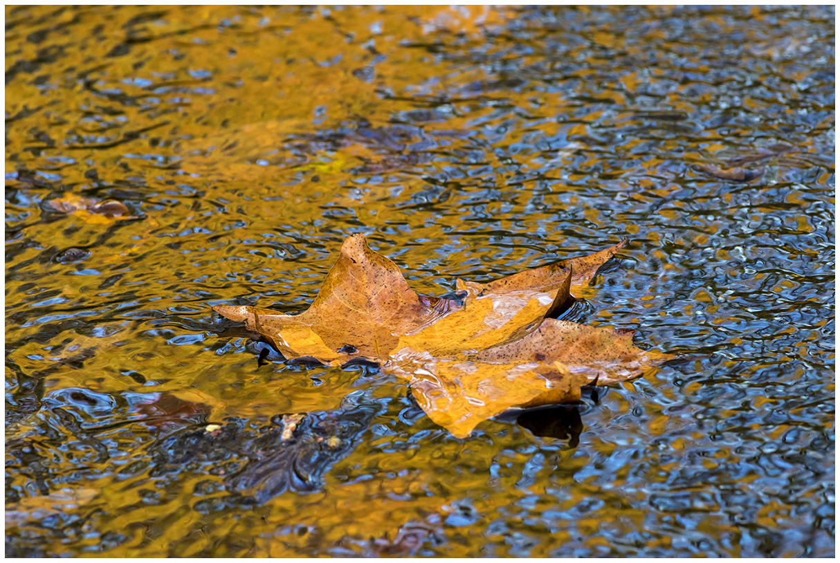 minimal towards the end of autumn...