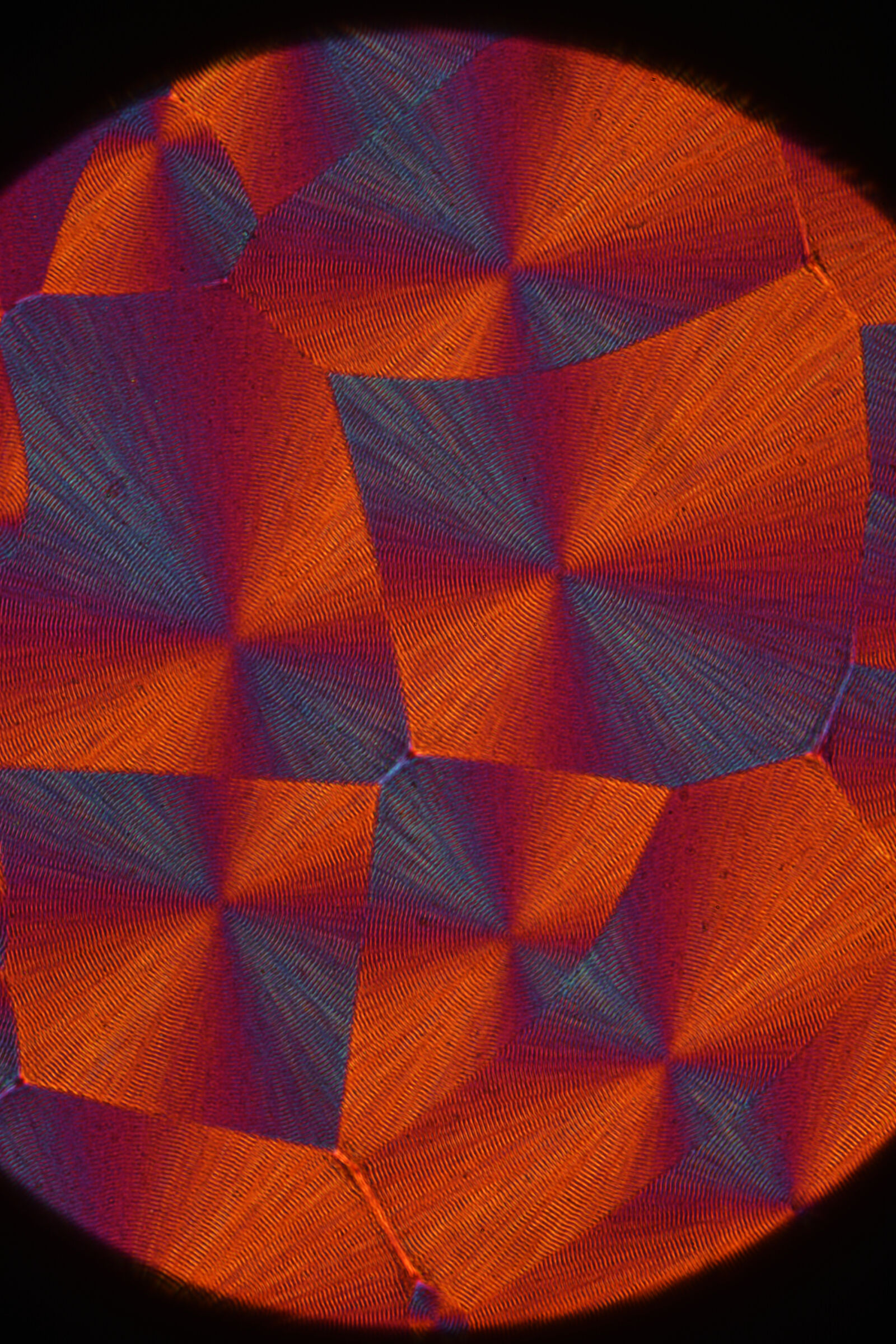 polyhydrobutyrate spherulite