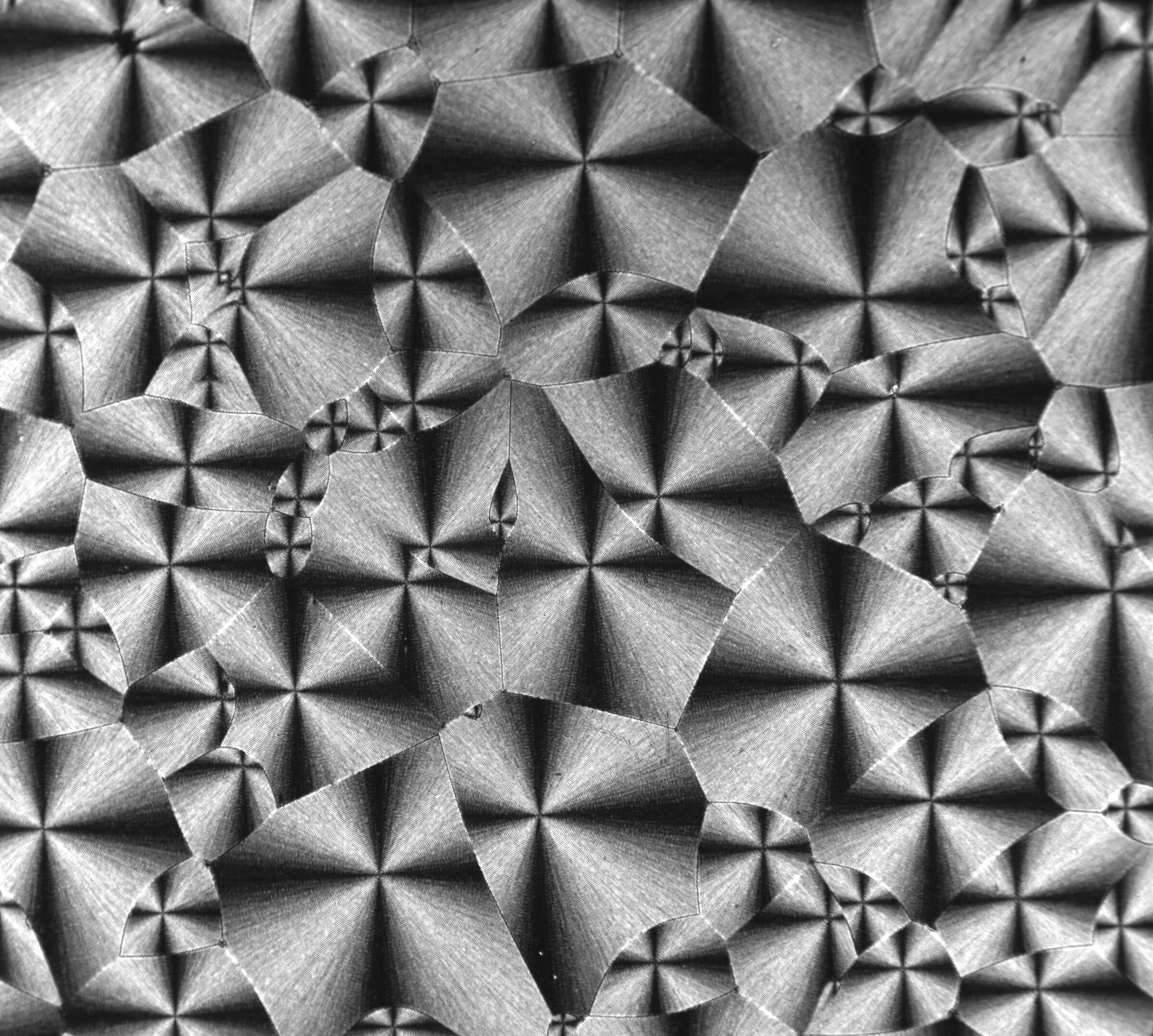 poly-hydroxybutyrate-co-valerate spherulite