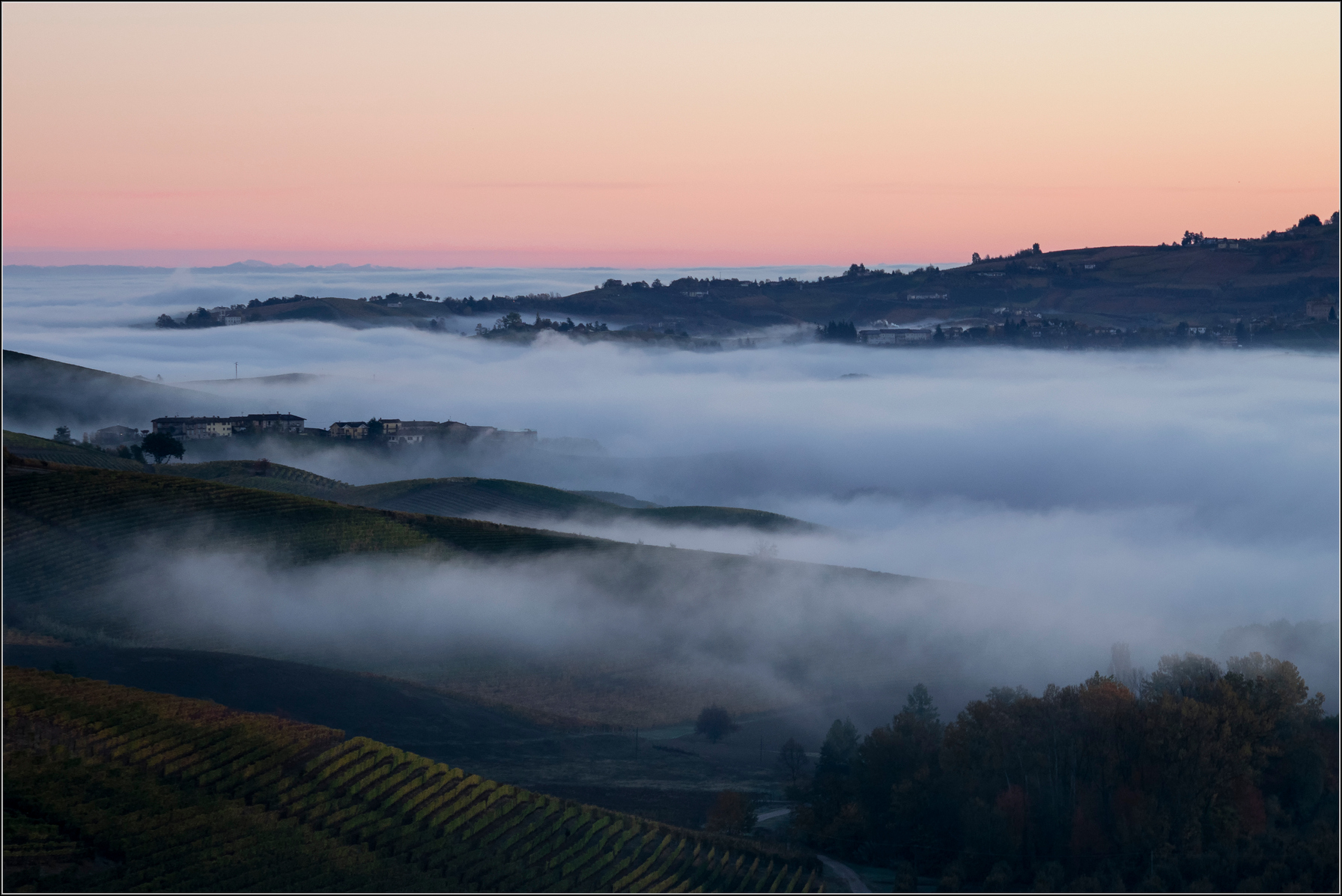 nebbia nelle langhe