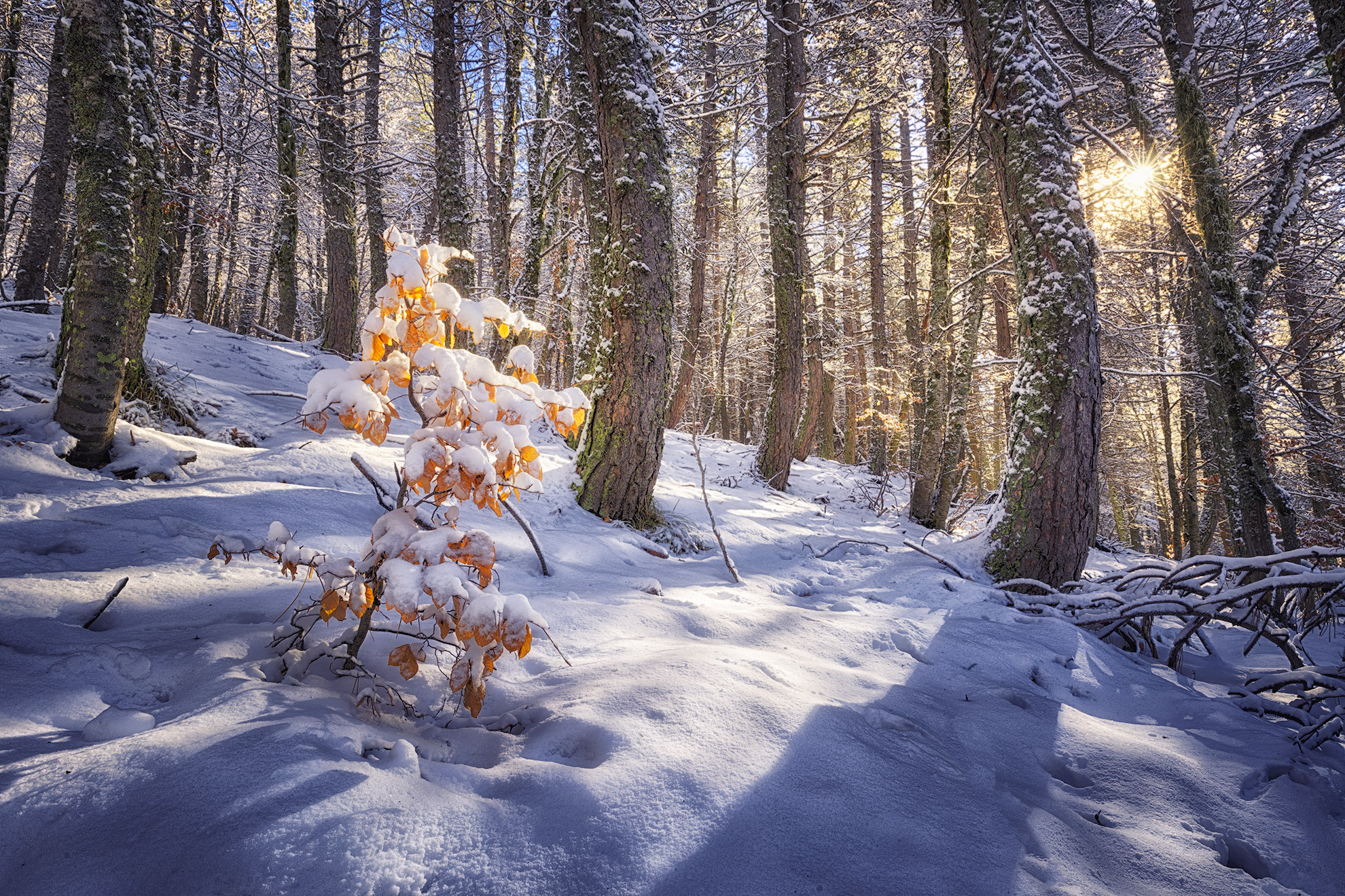 Primi assaggi di inverno