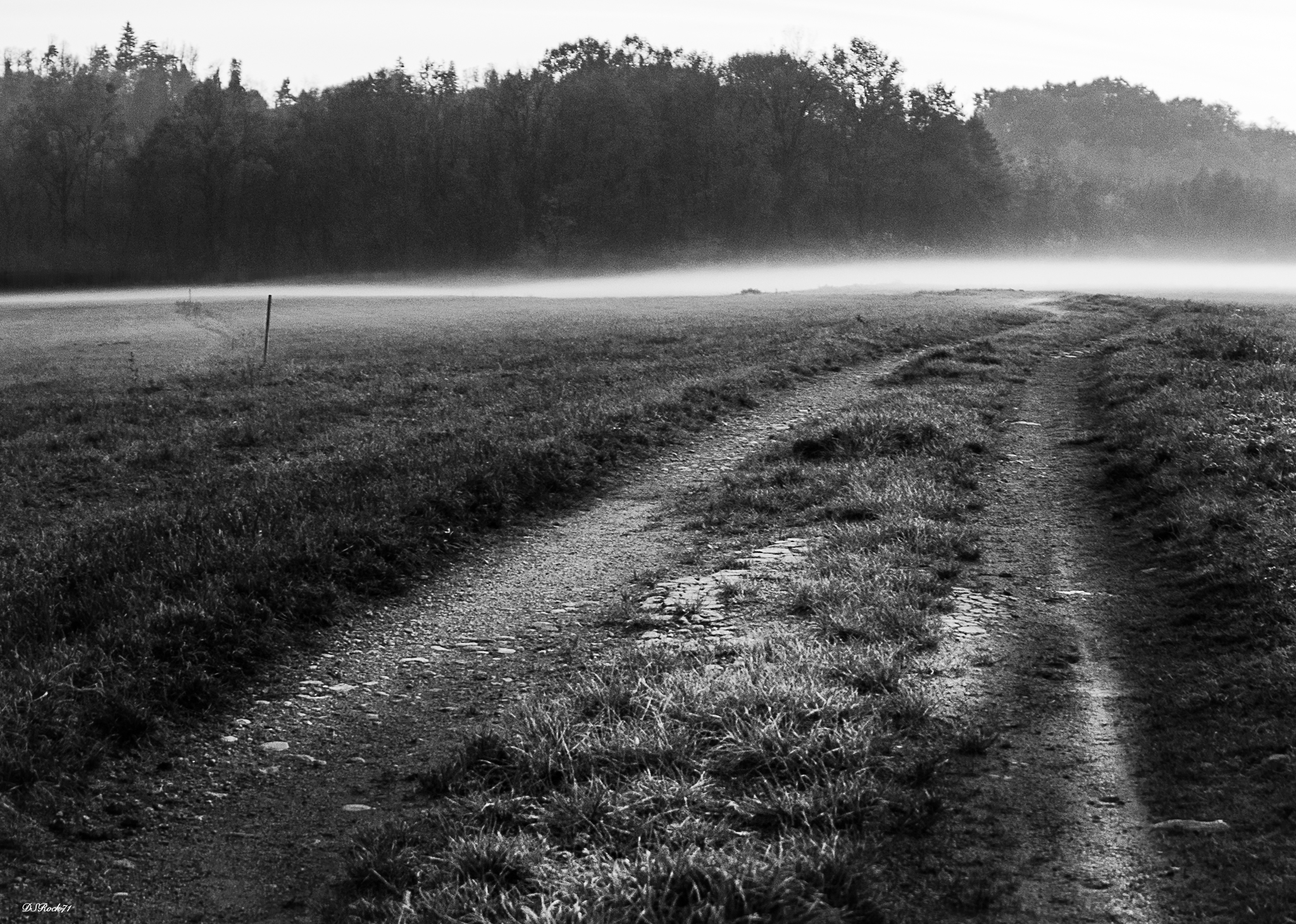 on the path ... haze...