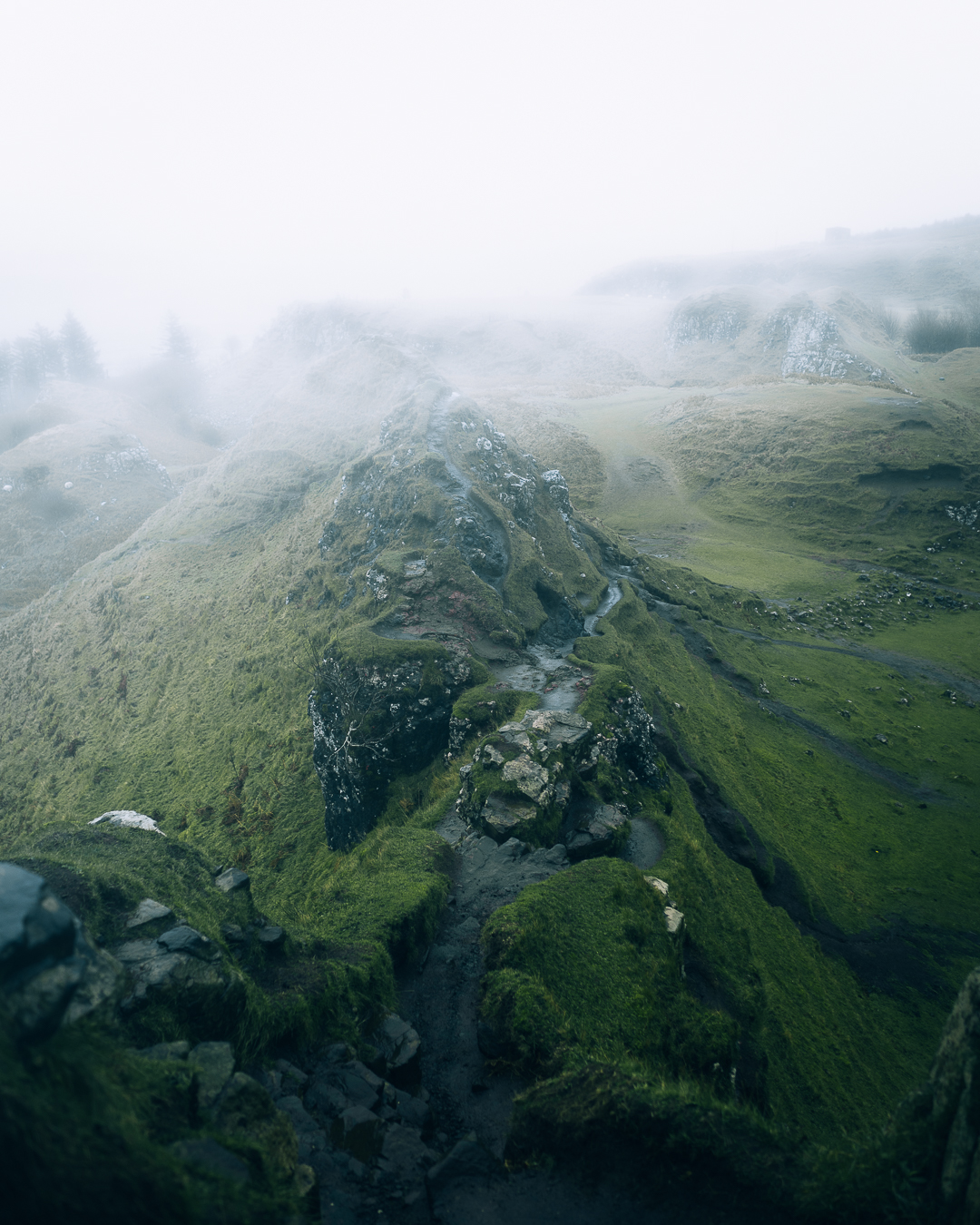 Fairy glen