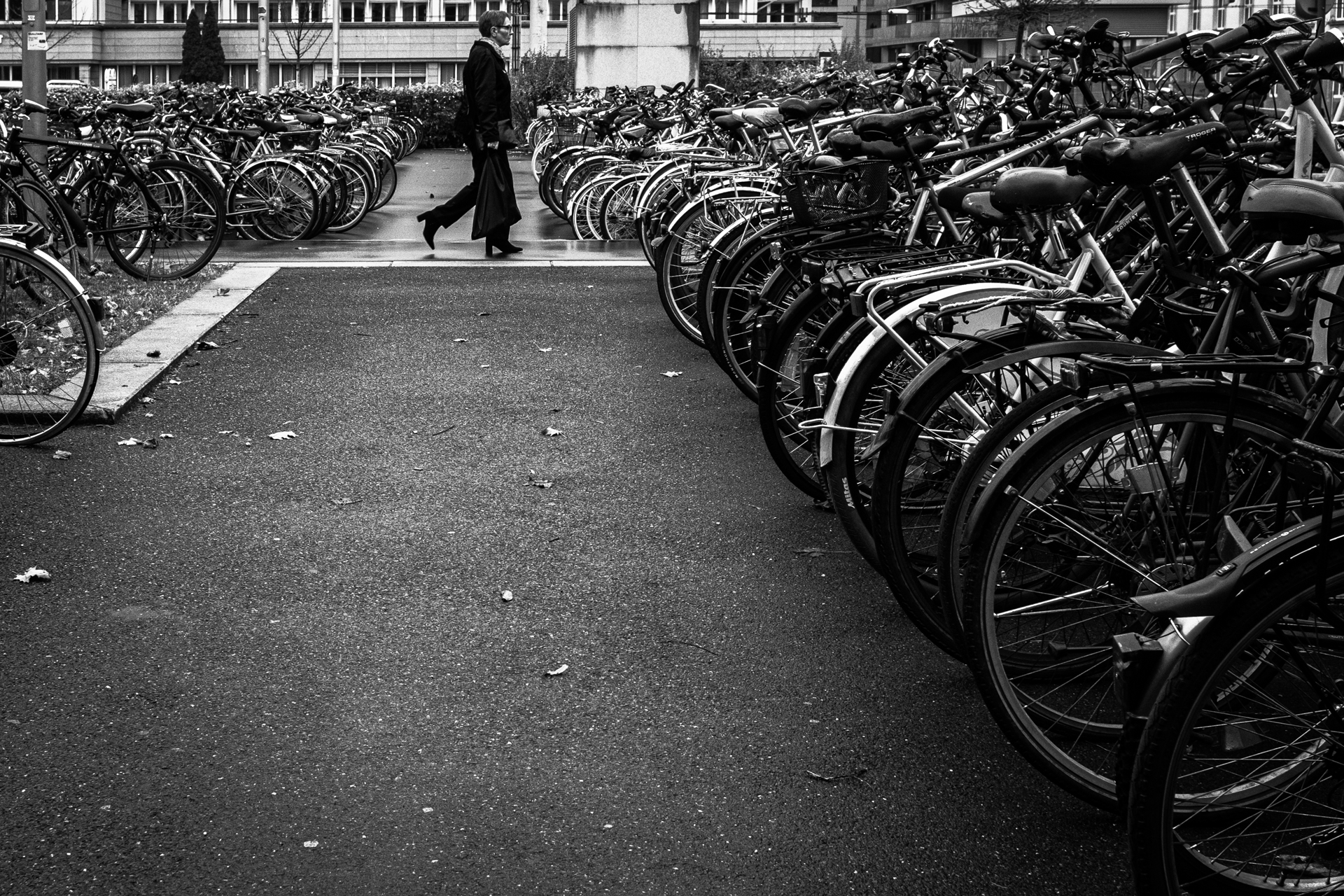 Untitled Photo