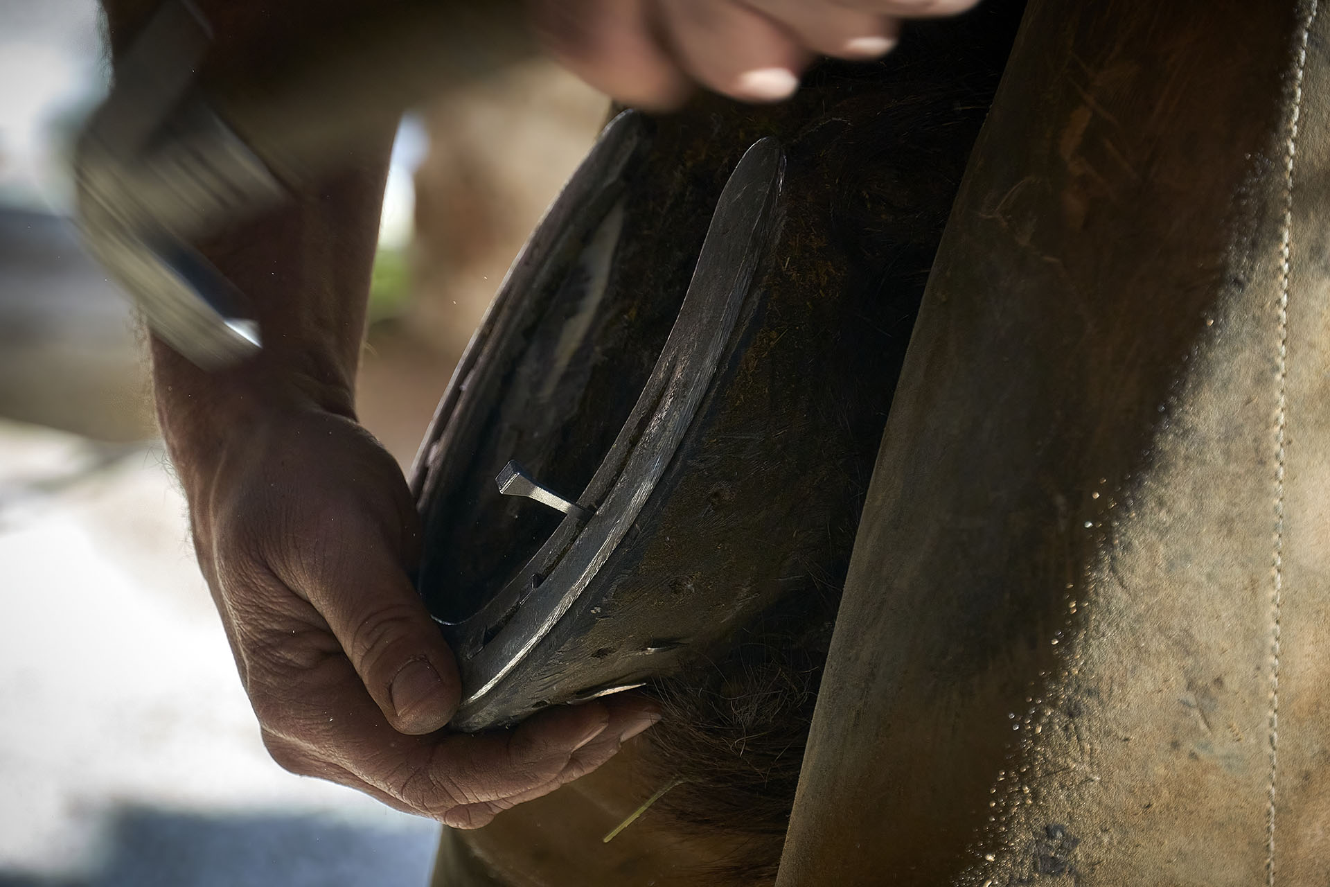 Maniscalco al lavoro 04