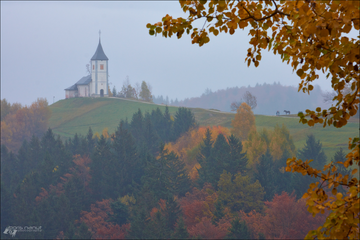 Two-dimensional autumn pastel