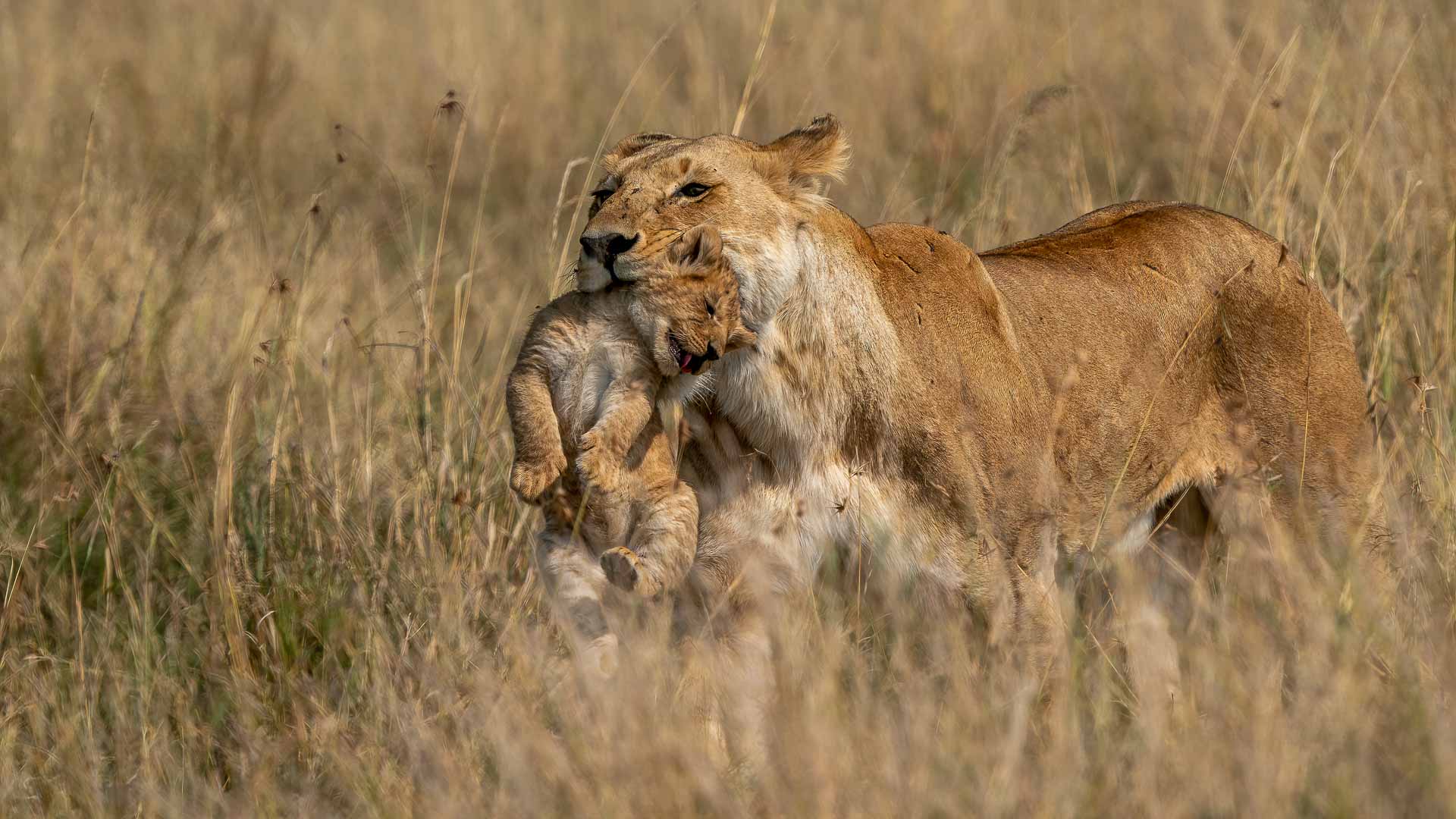 Caring mom