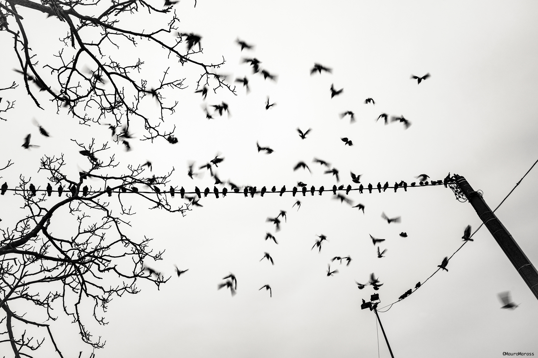 Arriva l'inverno