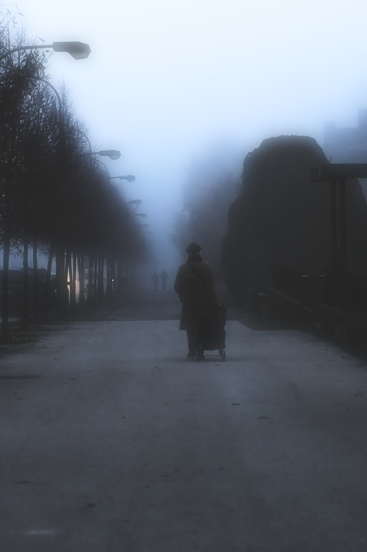 Fog