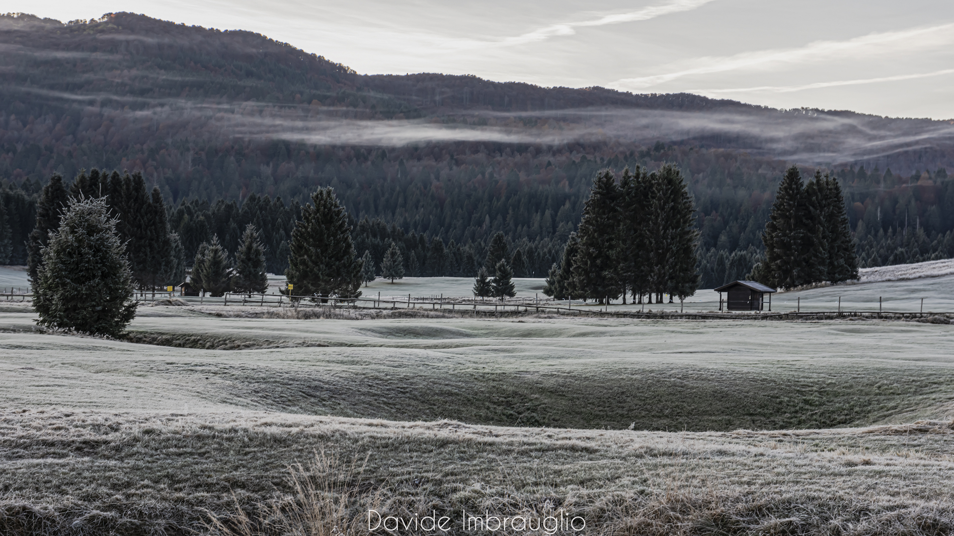 Cansiglio (Cansiglio)