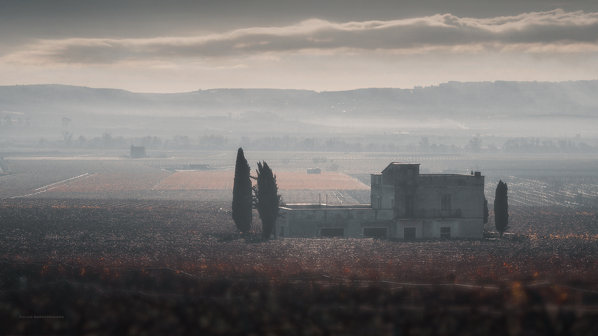 Il fascino della nebbia