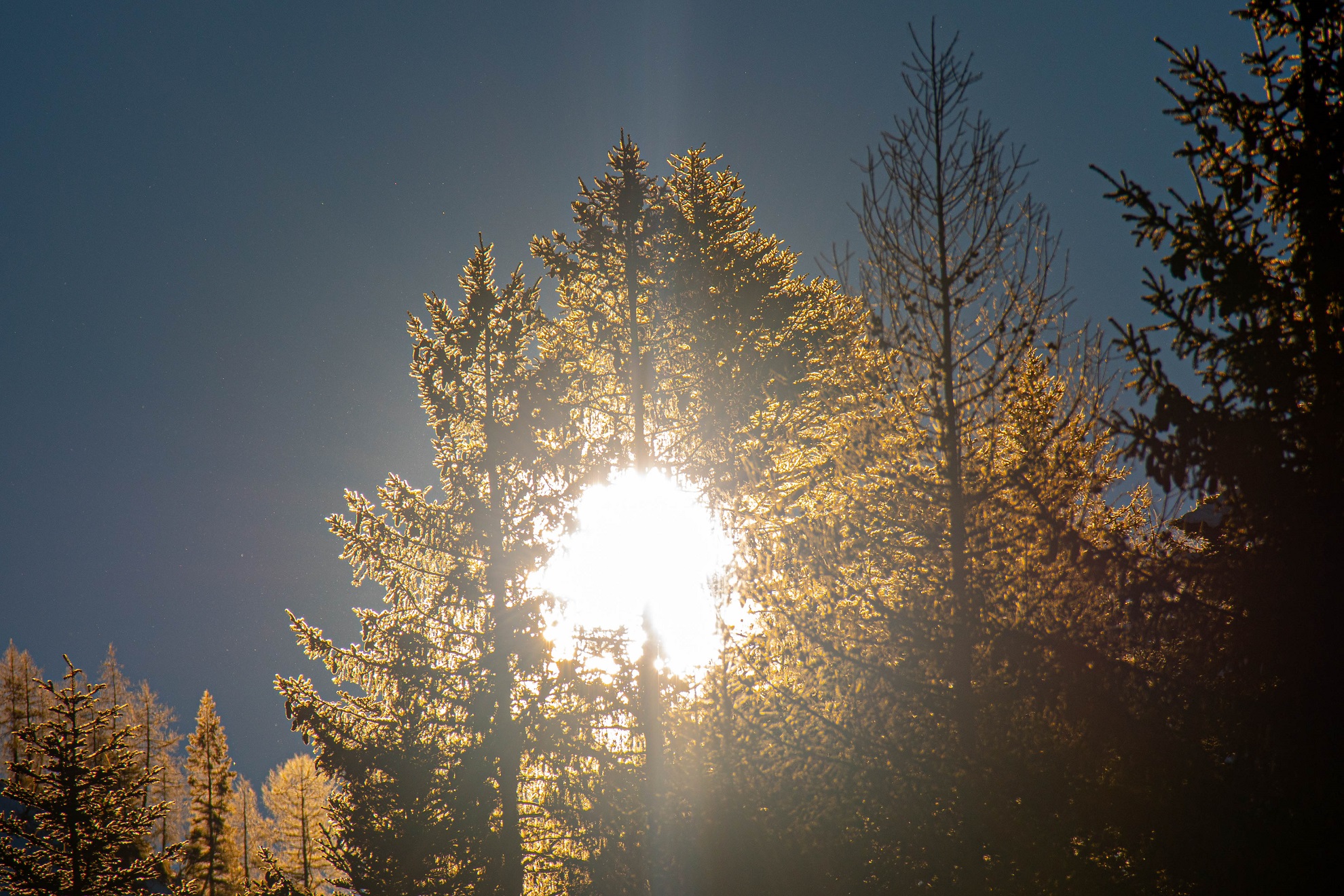 il Sole un controluce