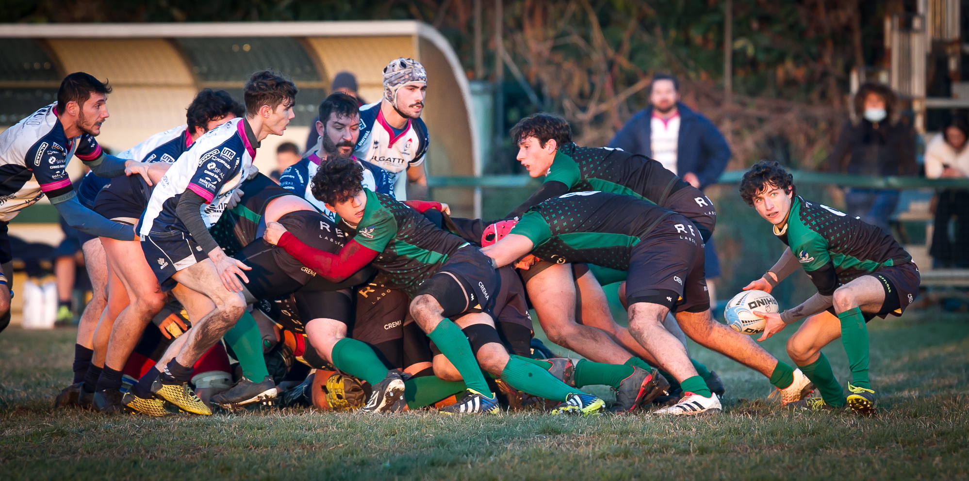 Crema Rugby