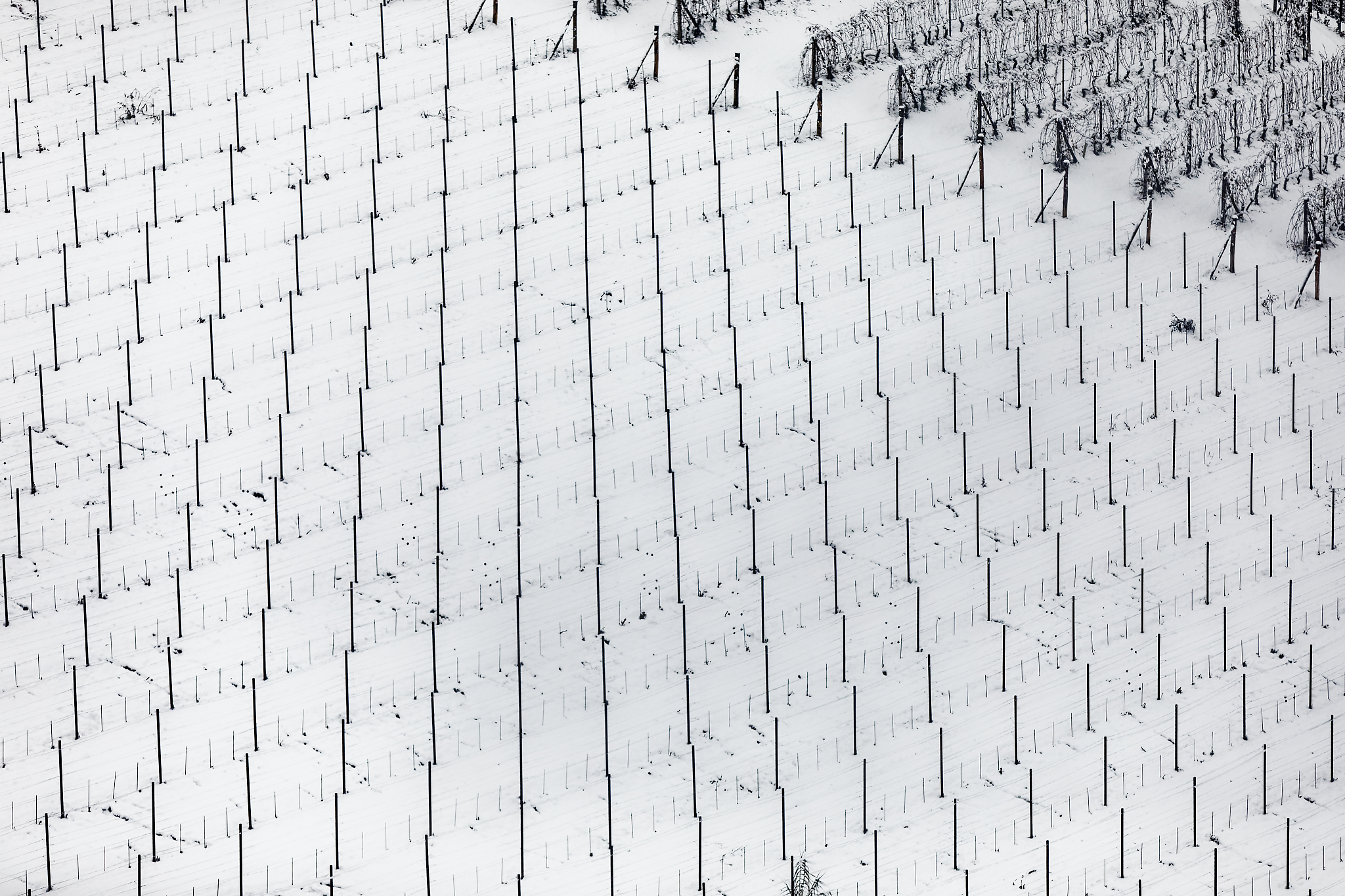 geometrie sotto la neve