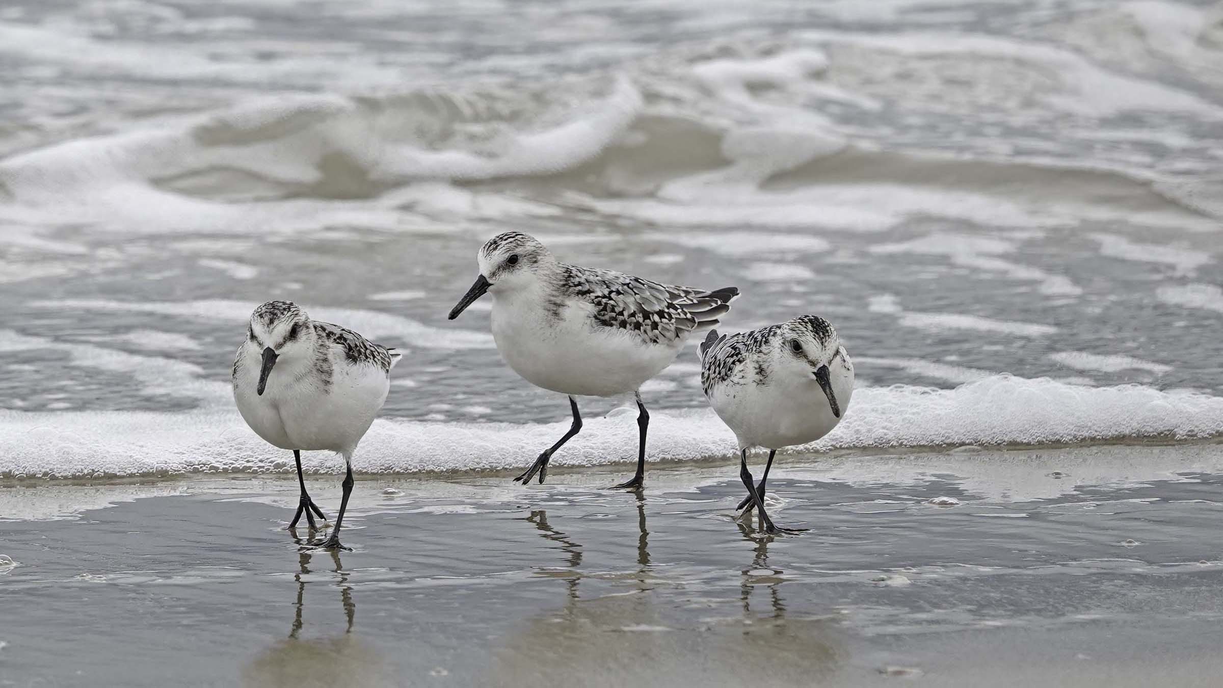 The sea in winter...